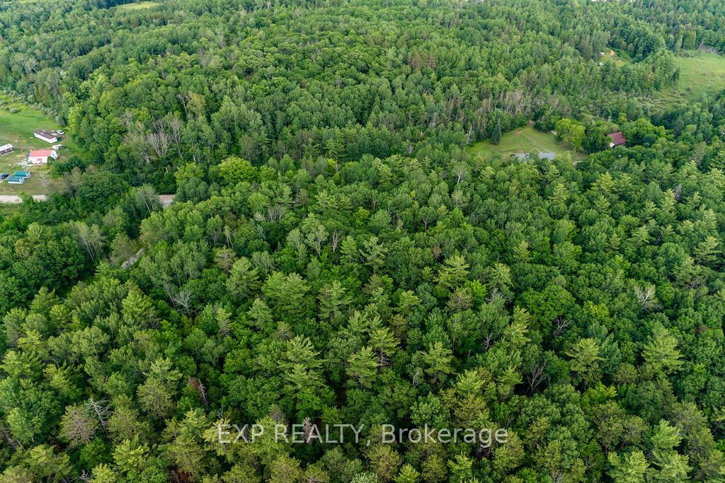 00 Mine View Road Property Photo 14