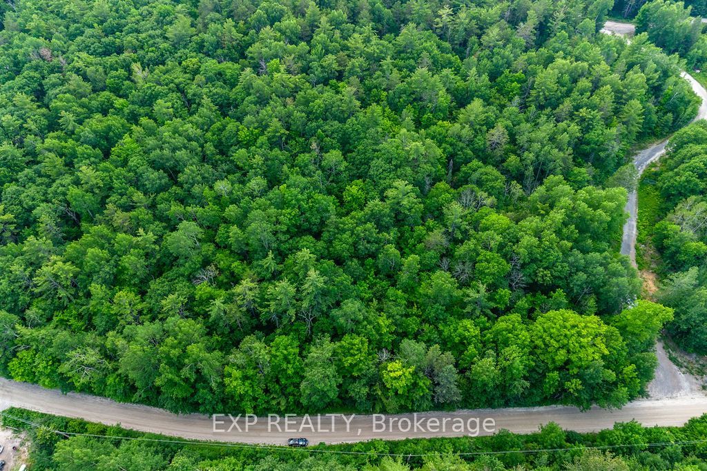 00 Mine View Road Property Photo 19
