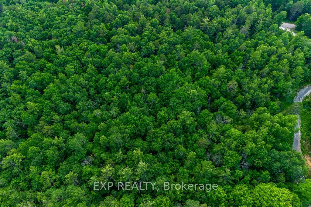 00 Mine View Road Property Photo 20