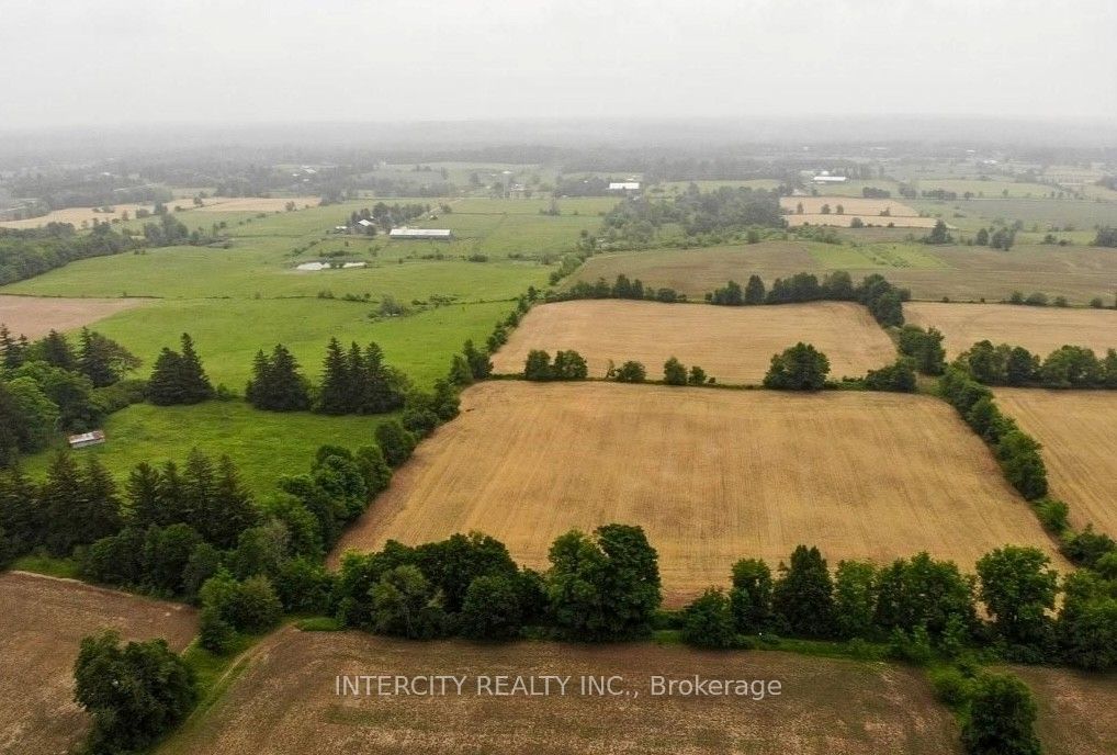 8373 High Way 7 Property Photo 4