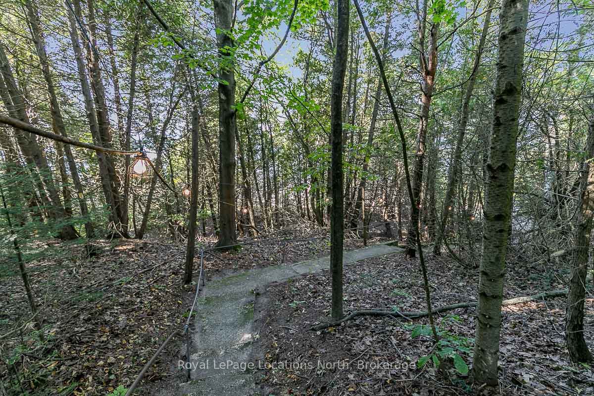229 Bruce 23 Road Property Photo 2