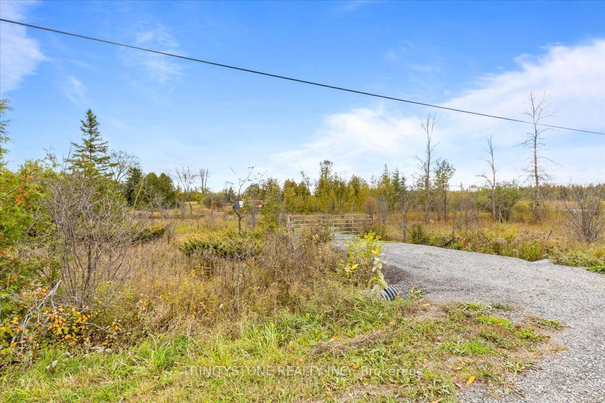 1754 Kilmaurs Side Road Property Photo 3