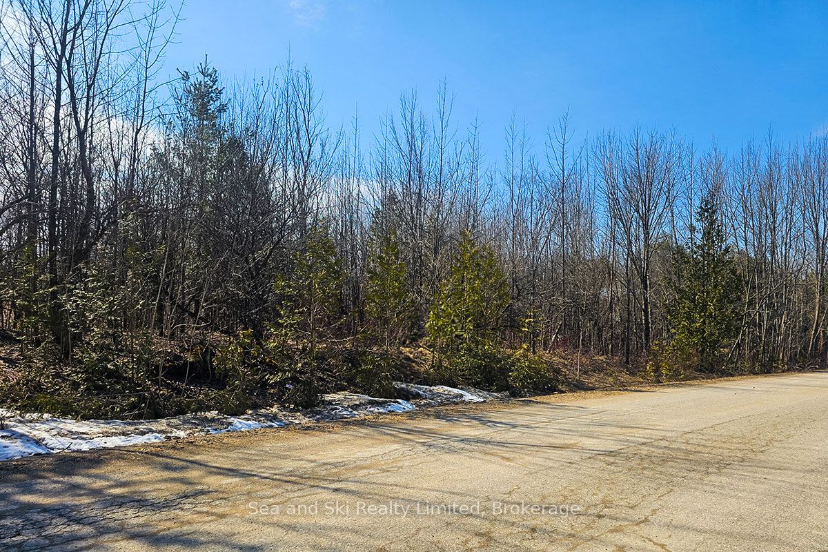 180 Bowles Bluff Road Property Photo 1