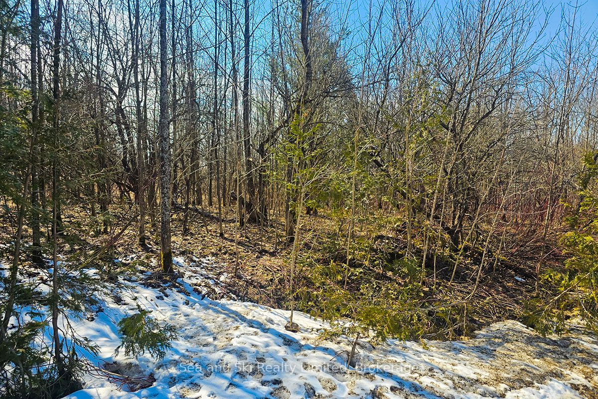 180 Bowles Bluff Road Property Photo 3