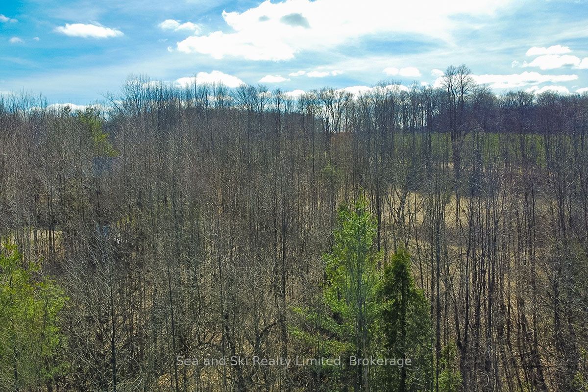 180 Bowles Bluff Road Property Photo 4