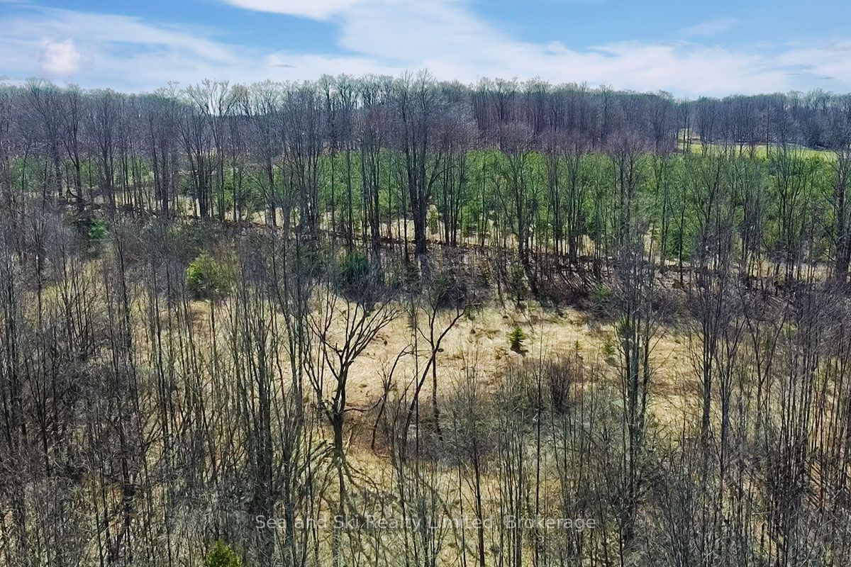 180 Bowles Bluff Road Property Photo 5