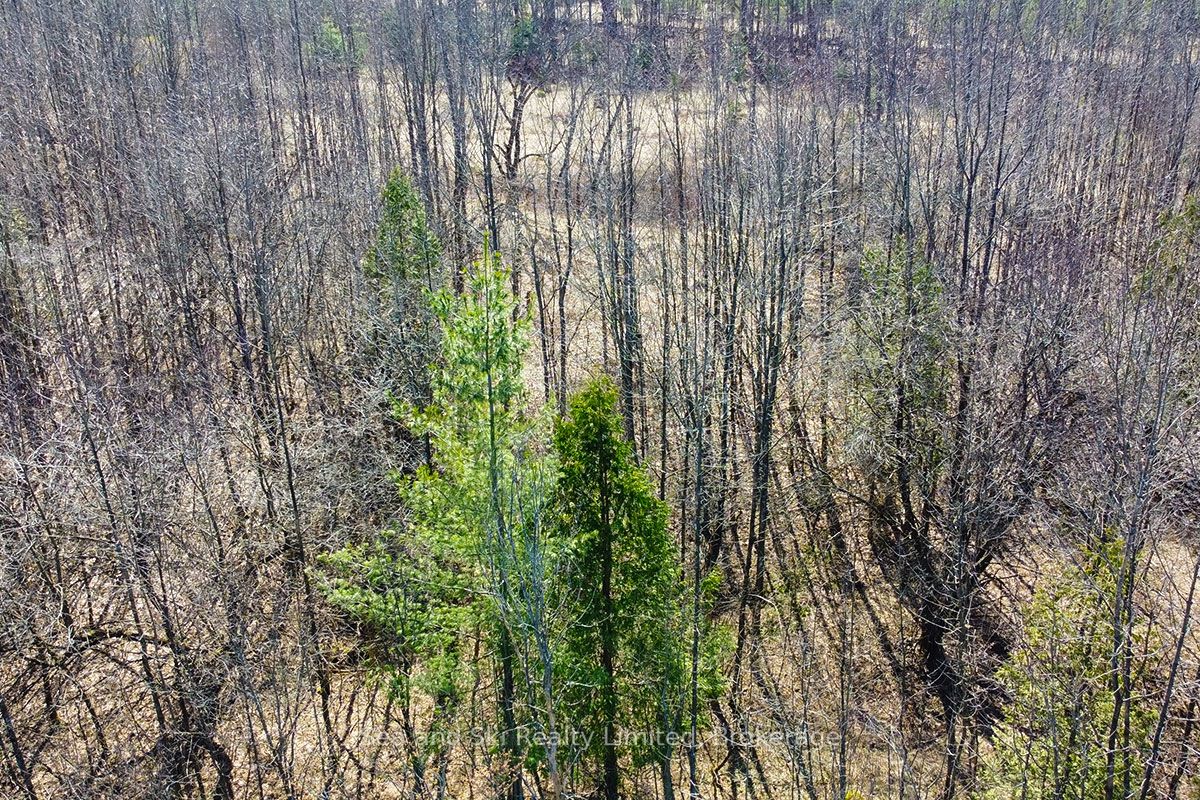 180 Bowles Bluff Road Property Photo 7
