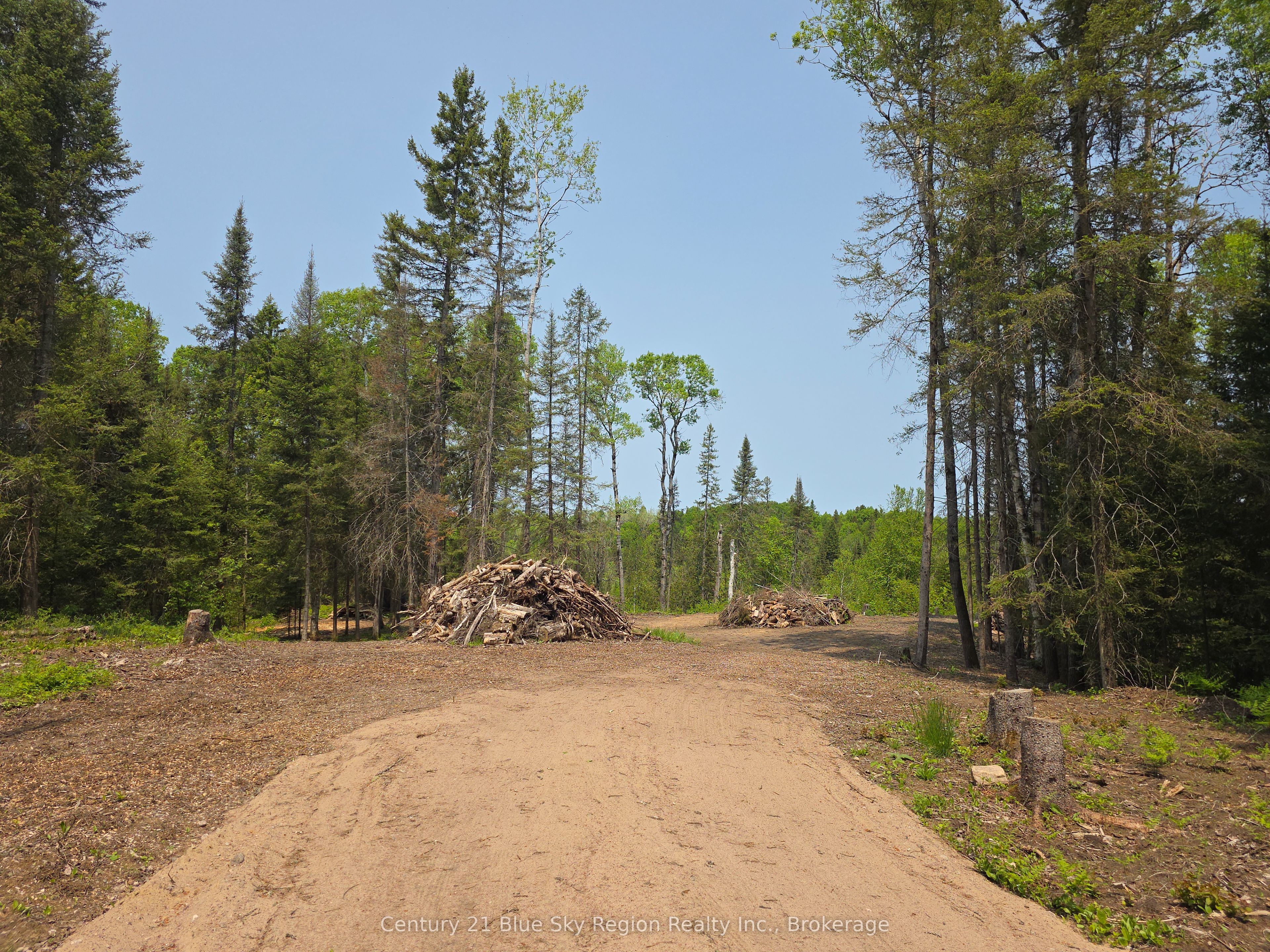 356 Hunt Line Property Photo 8