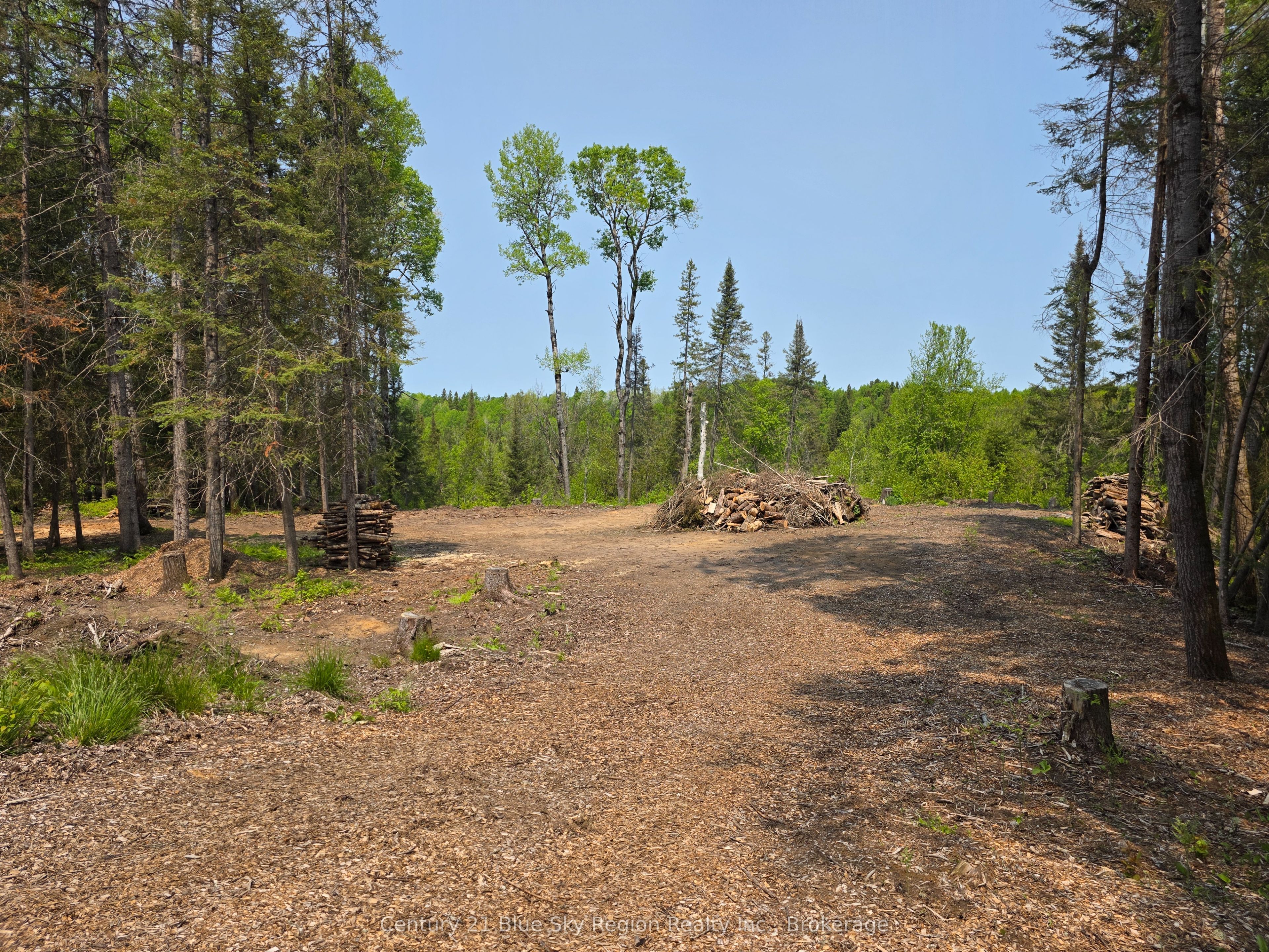 356 Hunt Line Property Photo 10