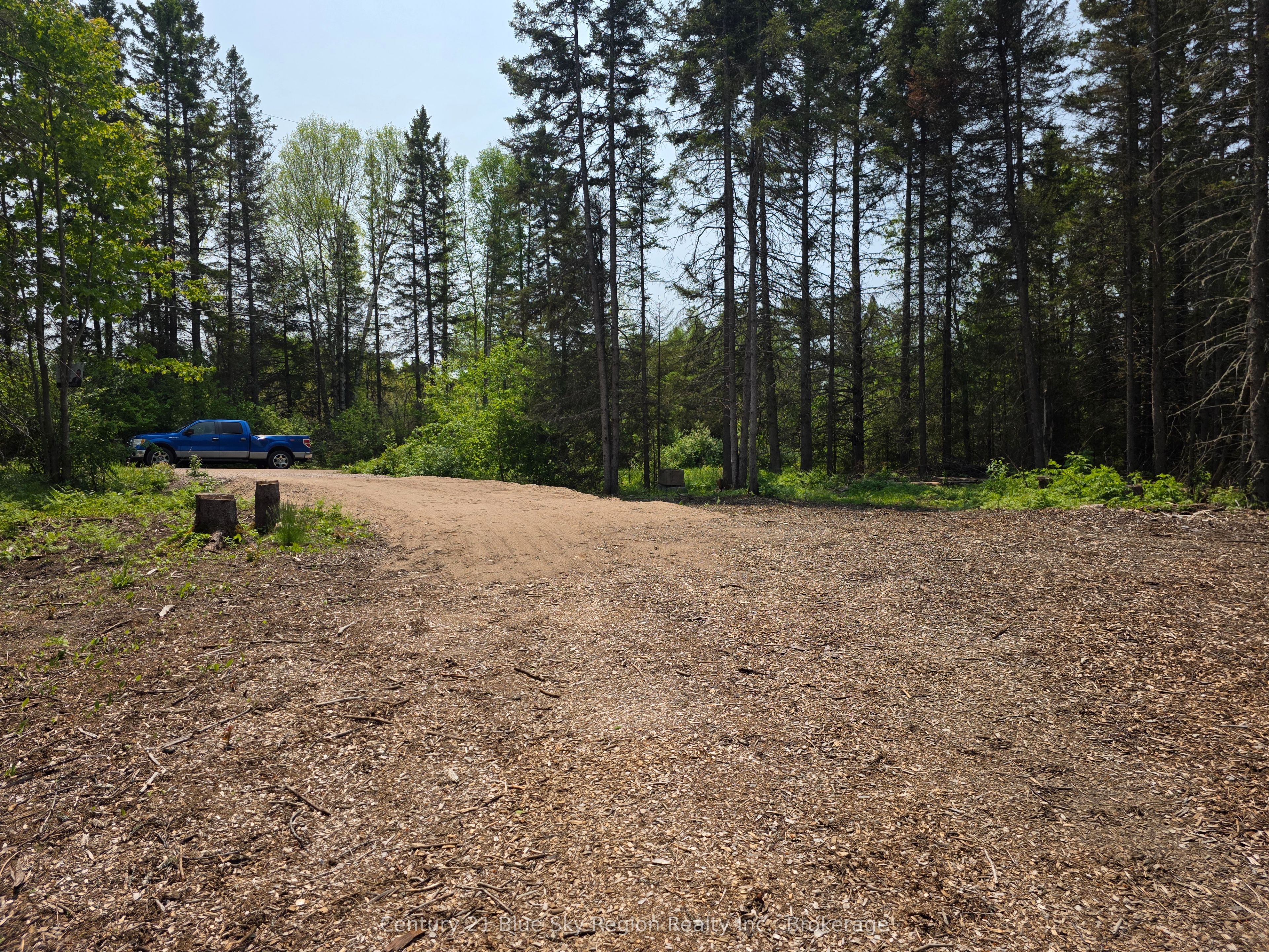 356 Hunt Line Property Photo 11