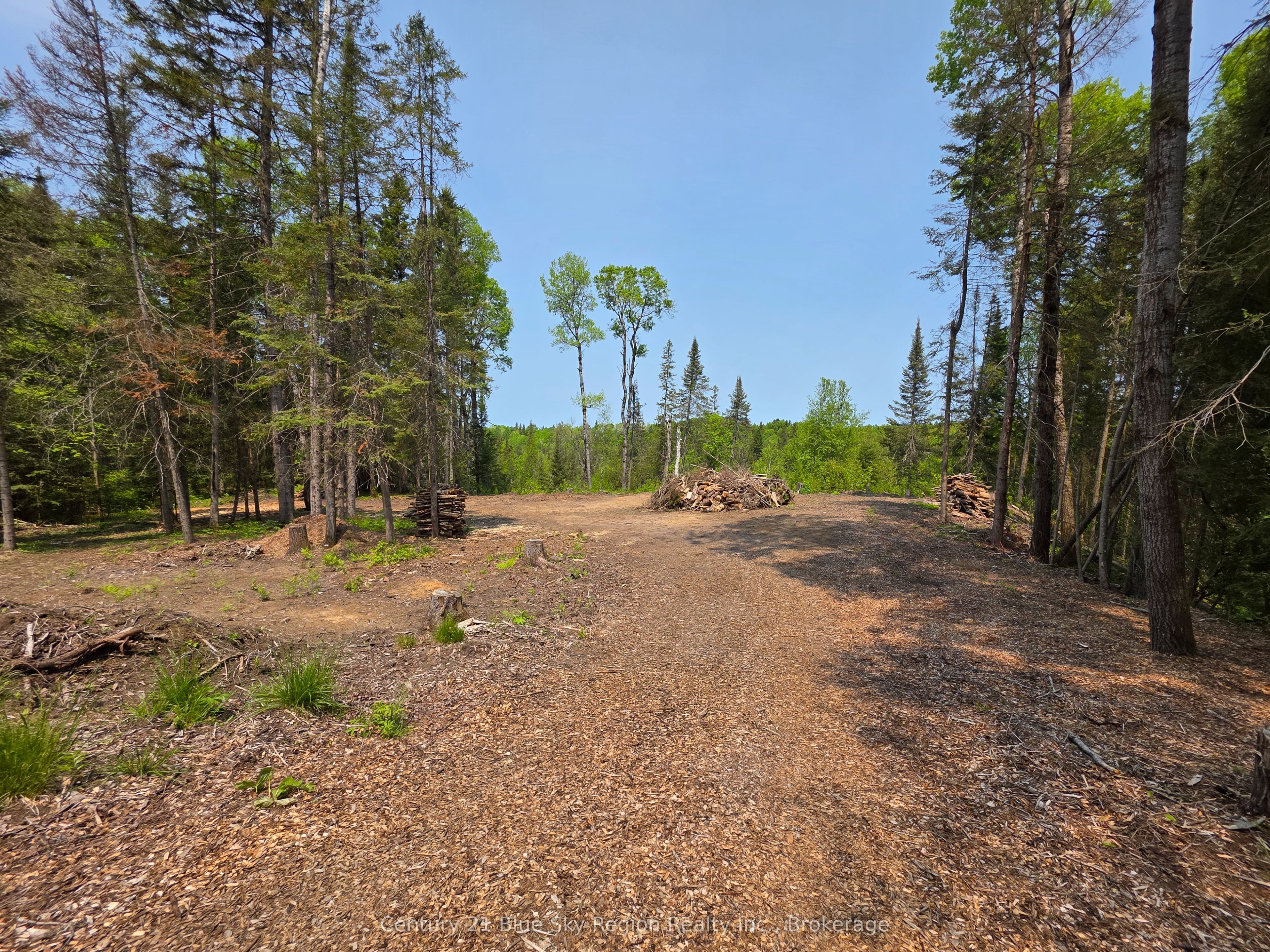 356 Hunt Line Property Photo 12