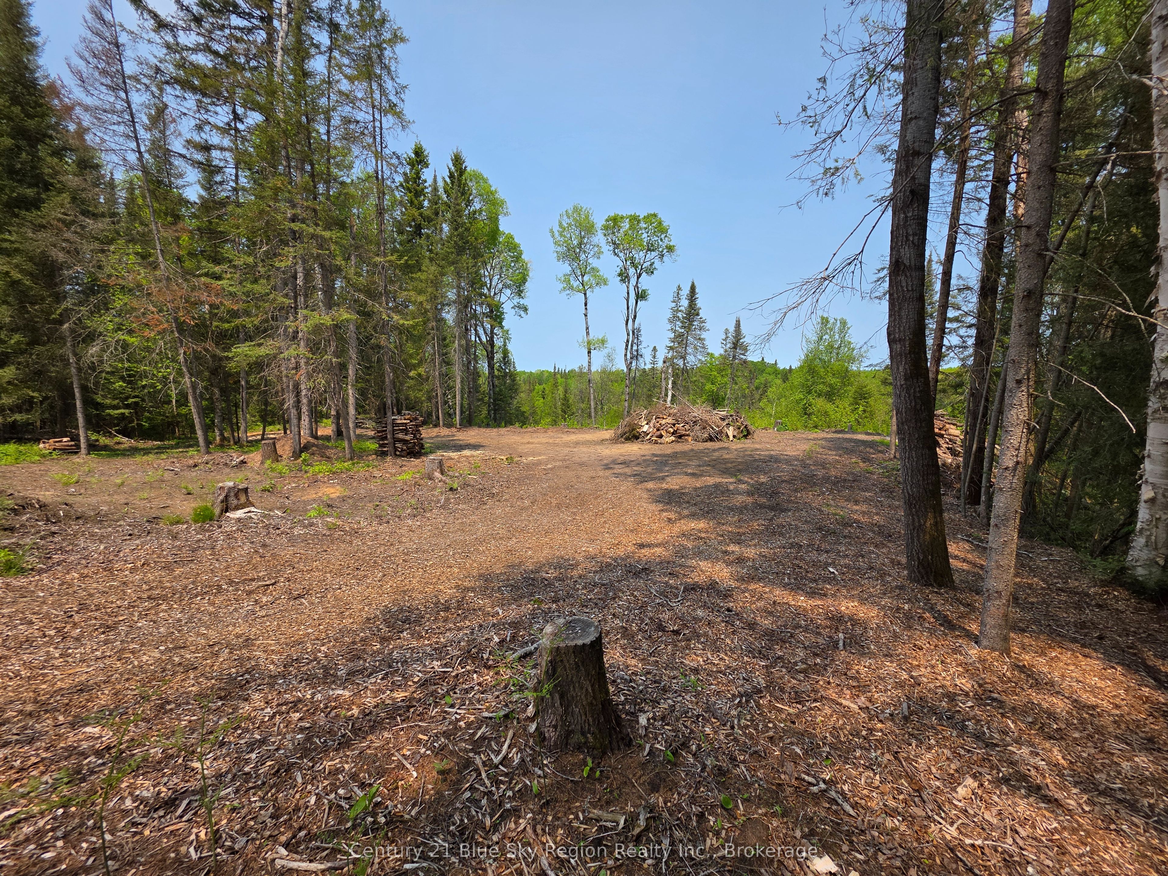 356 Hunt Line Property Photo 13