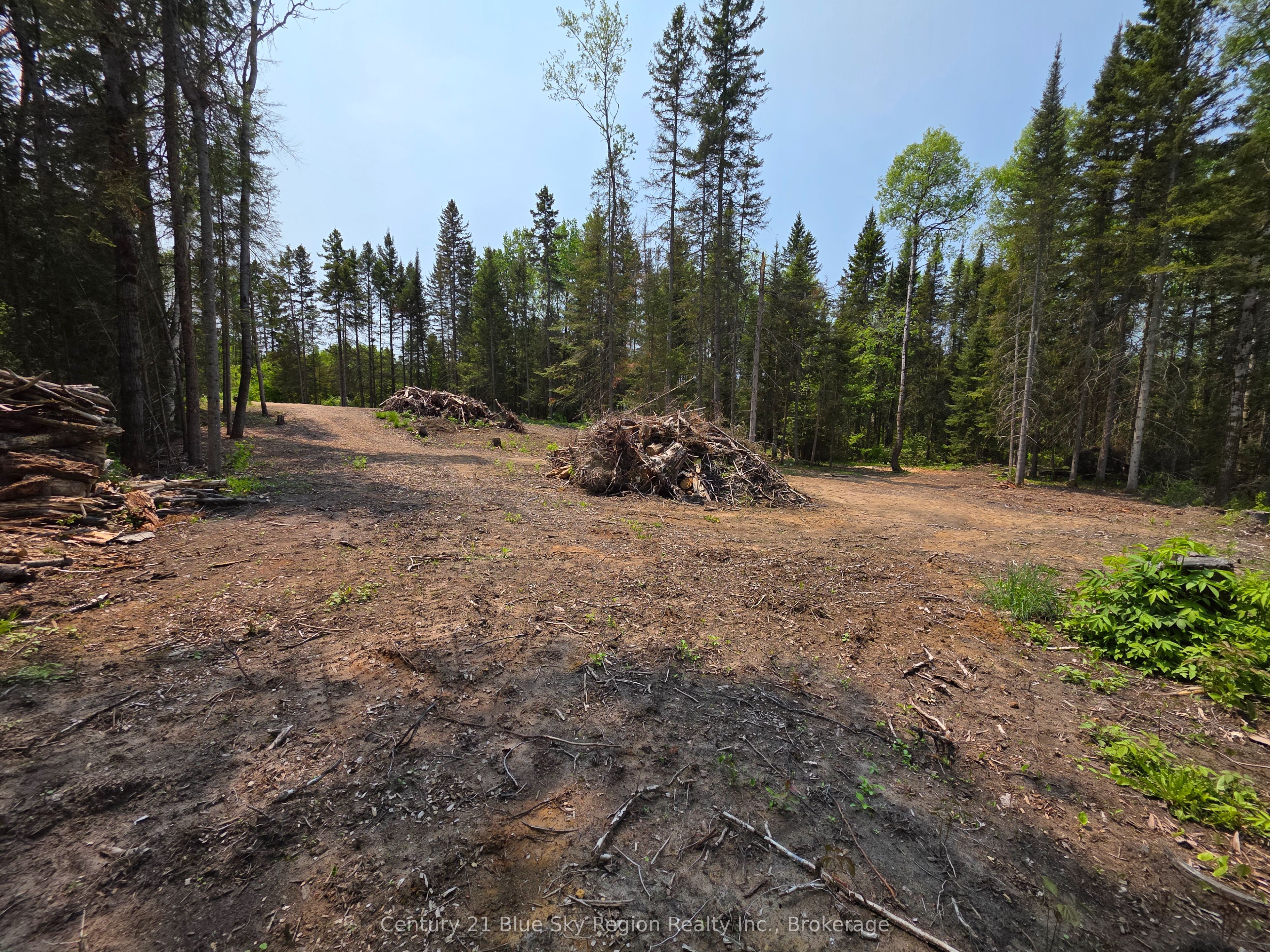 356 Hunt Line Property Photo 14