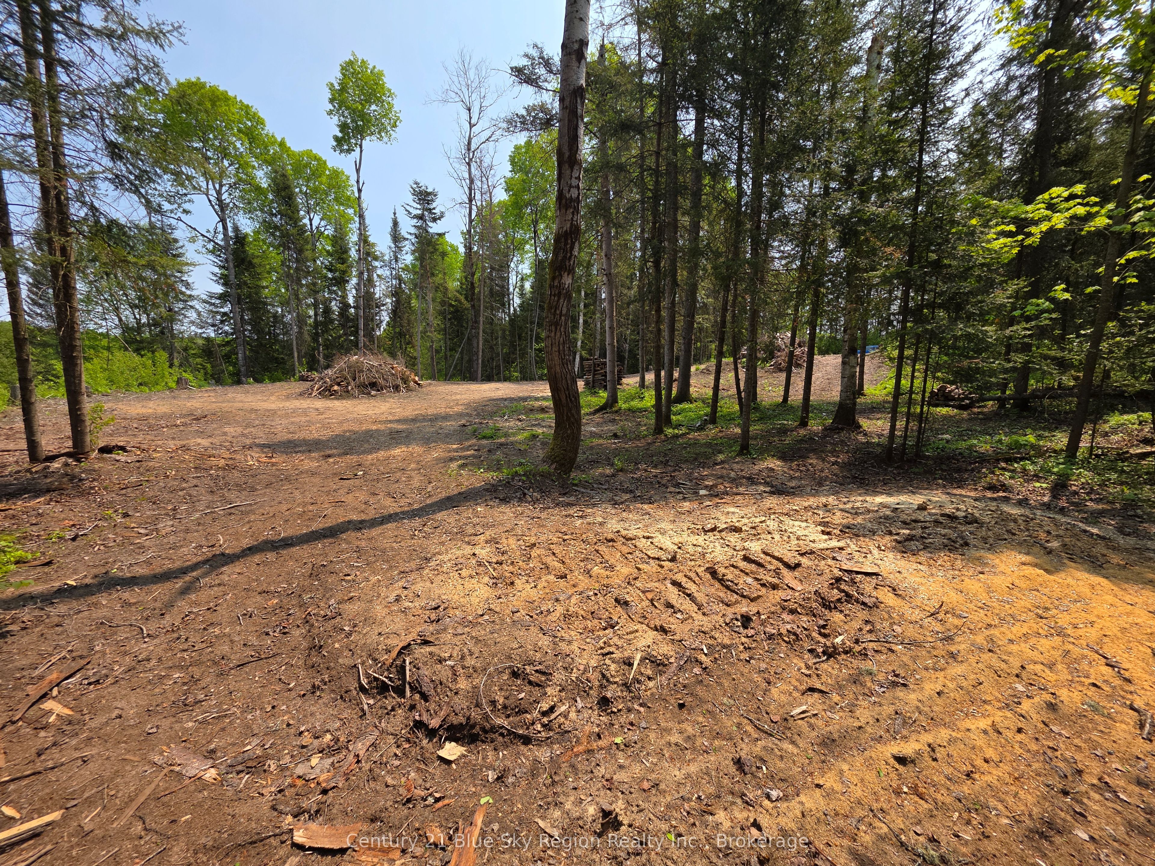 356 Hunt Line Property Photo 16