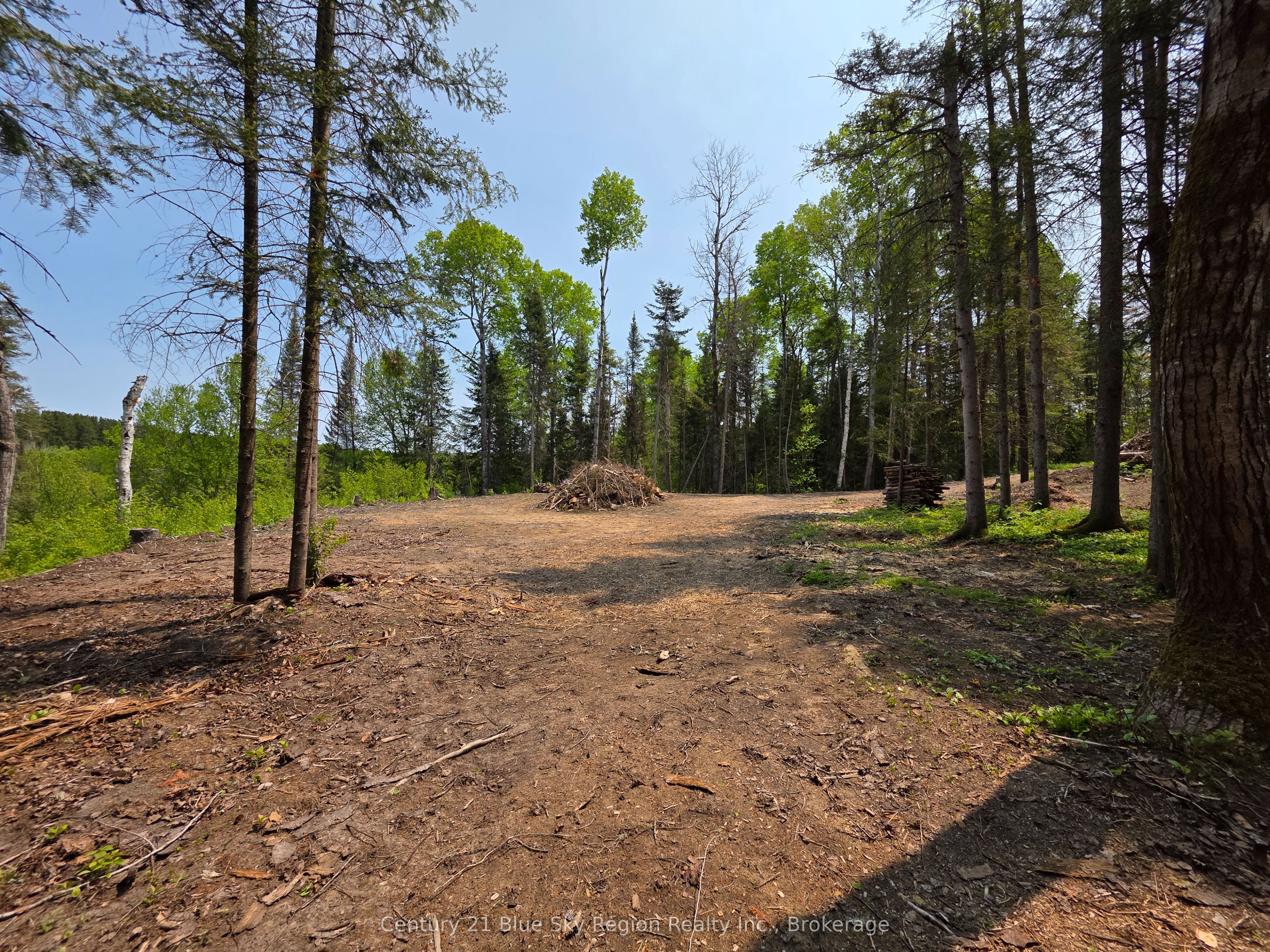 356 Hunt Line Property Photo 17