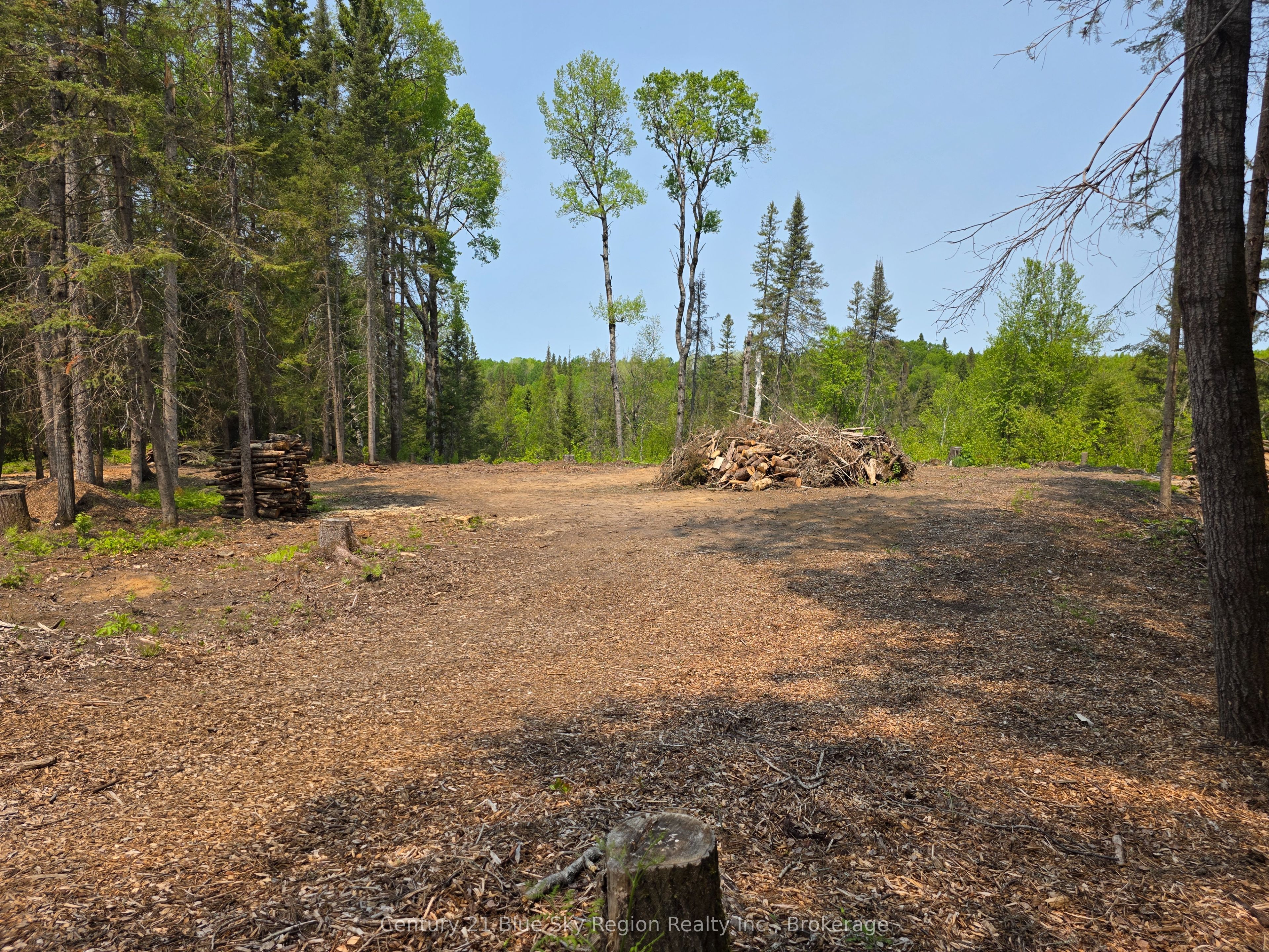 356 Hunt Line Property Photo 18