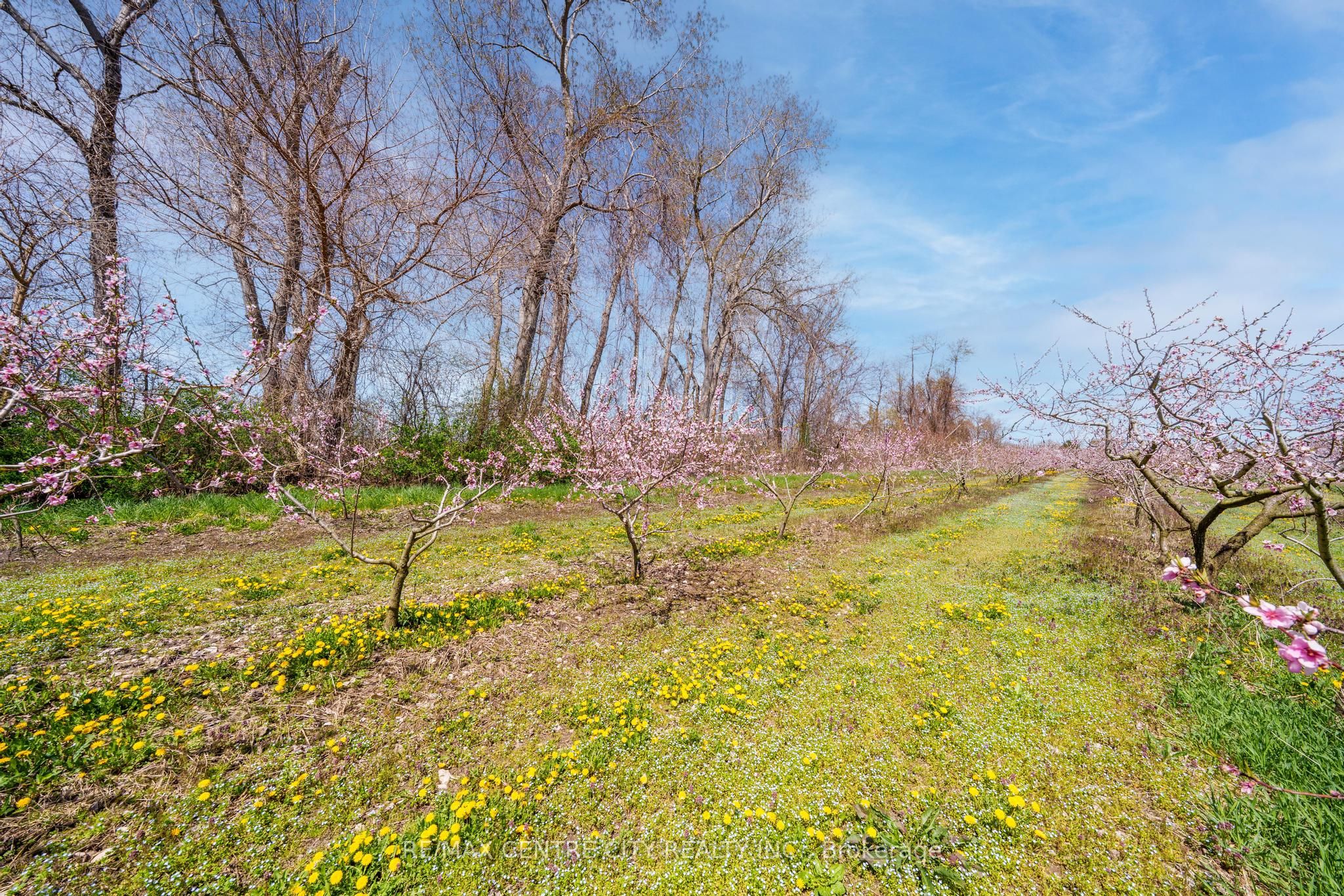 481 Concession 1 Road Property Photo 6