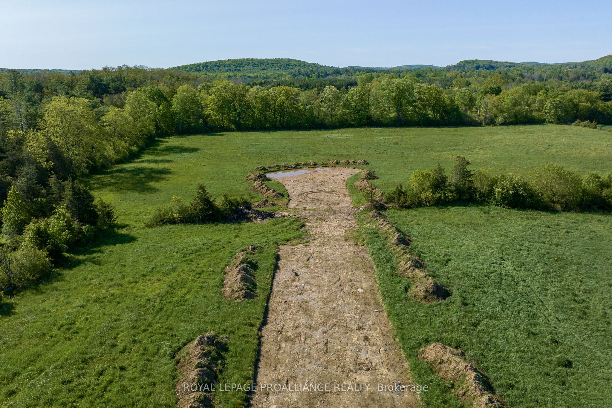 6 Berend Court Property Photo 7