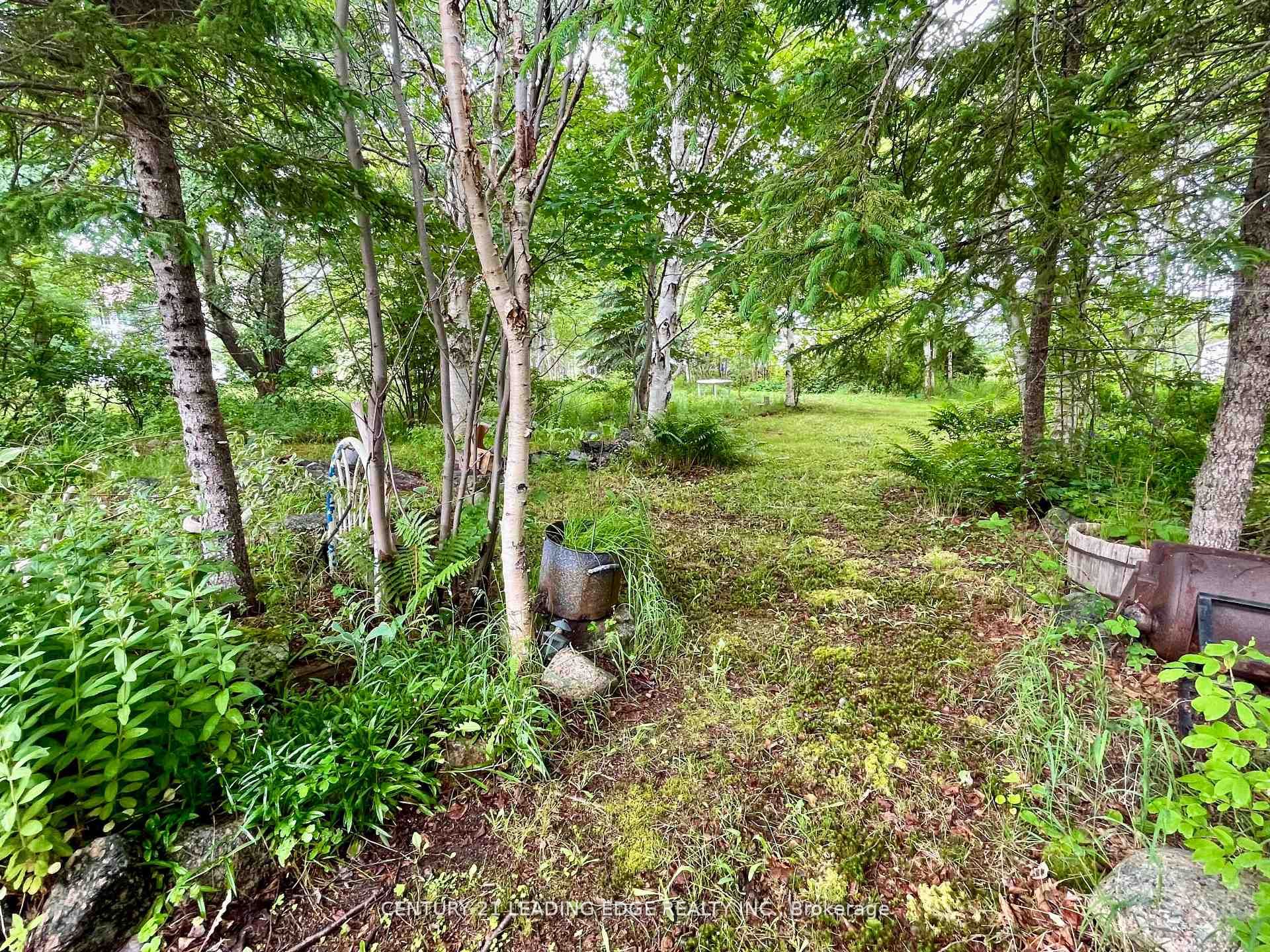 26 Main Road Property Photo 31