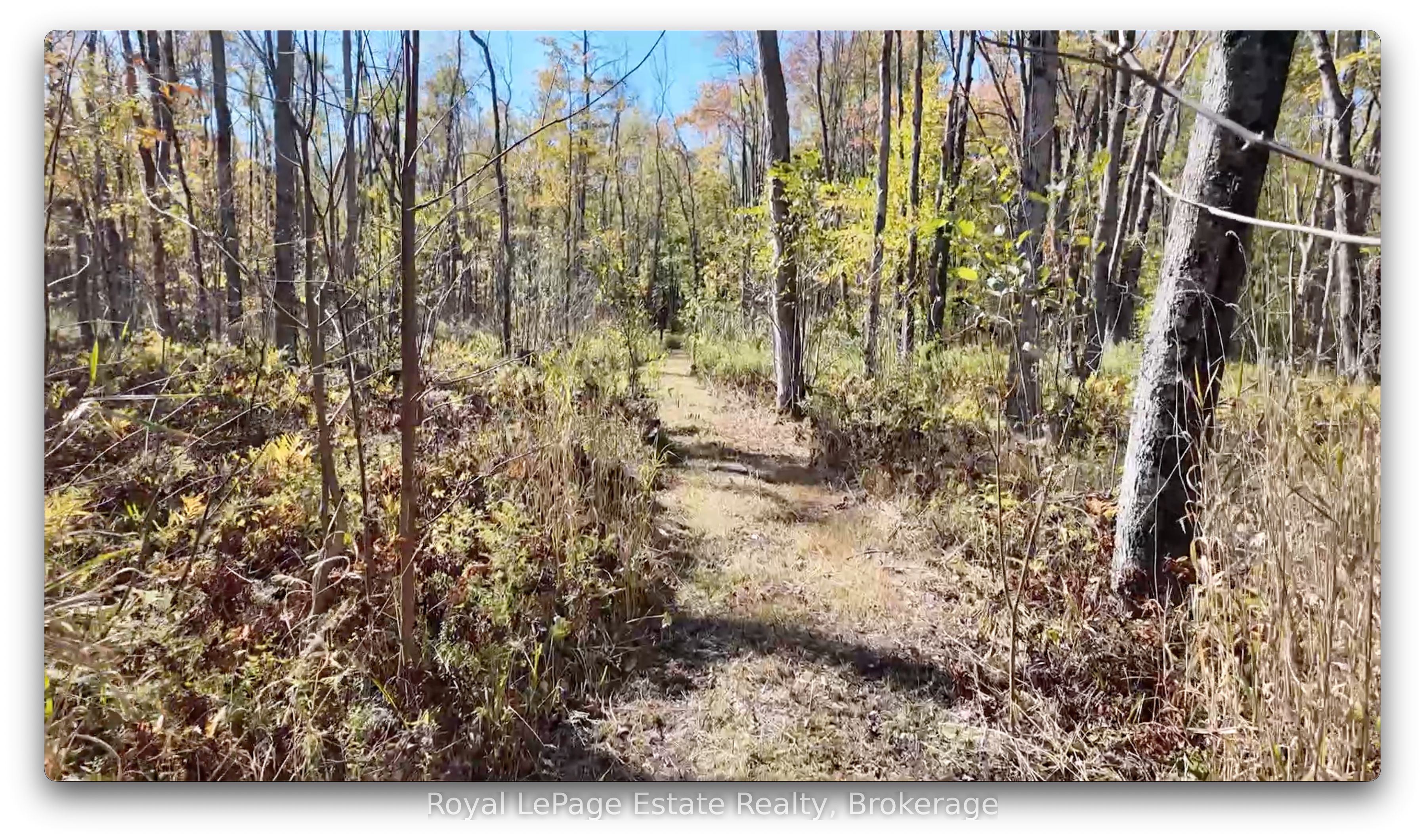 Pt Lt 36 & Pt Lt 37 13 Concession Property Photo 6