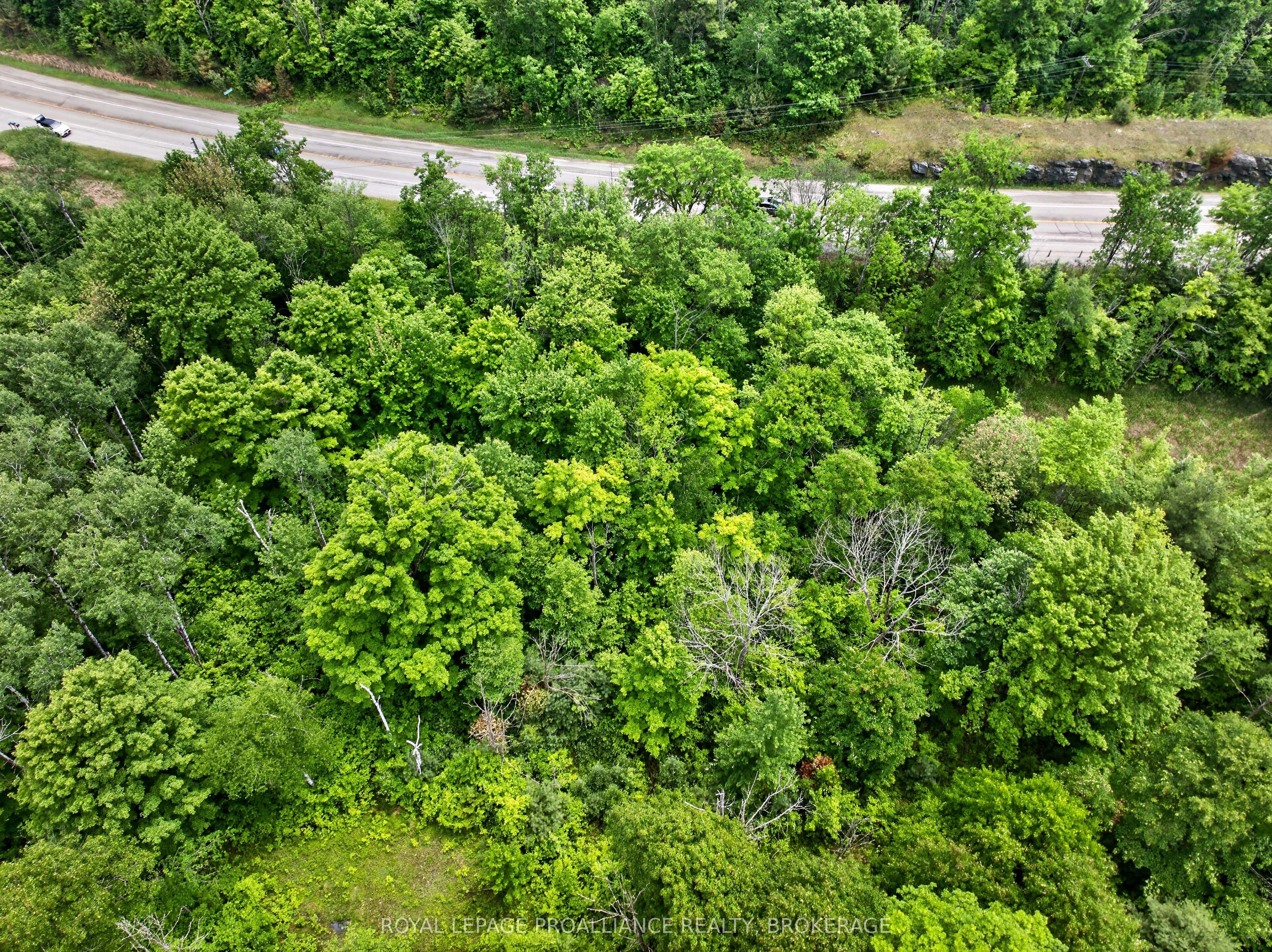 Pt Lt 20 Highway 7 Property Photo 4