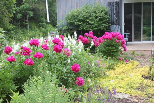 602 Elmbrook Road Property Photo 43