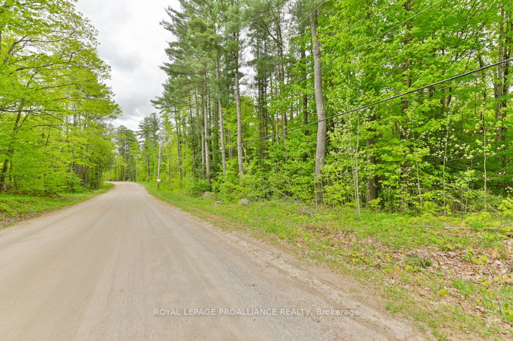8 Clark Line Road Property Photo 15