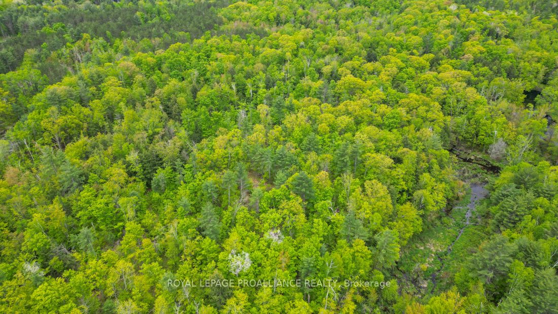 8 Clark Line Road Property Photo 19