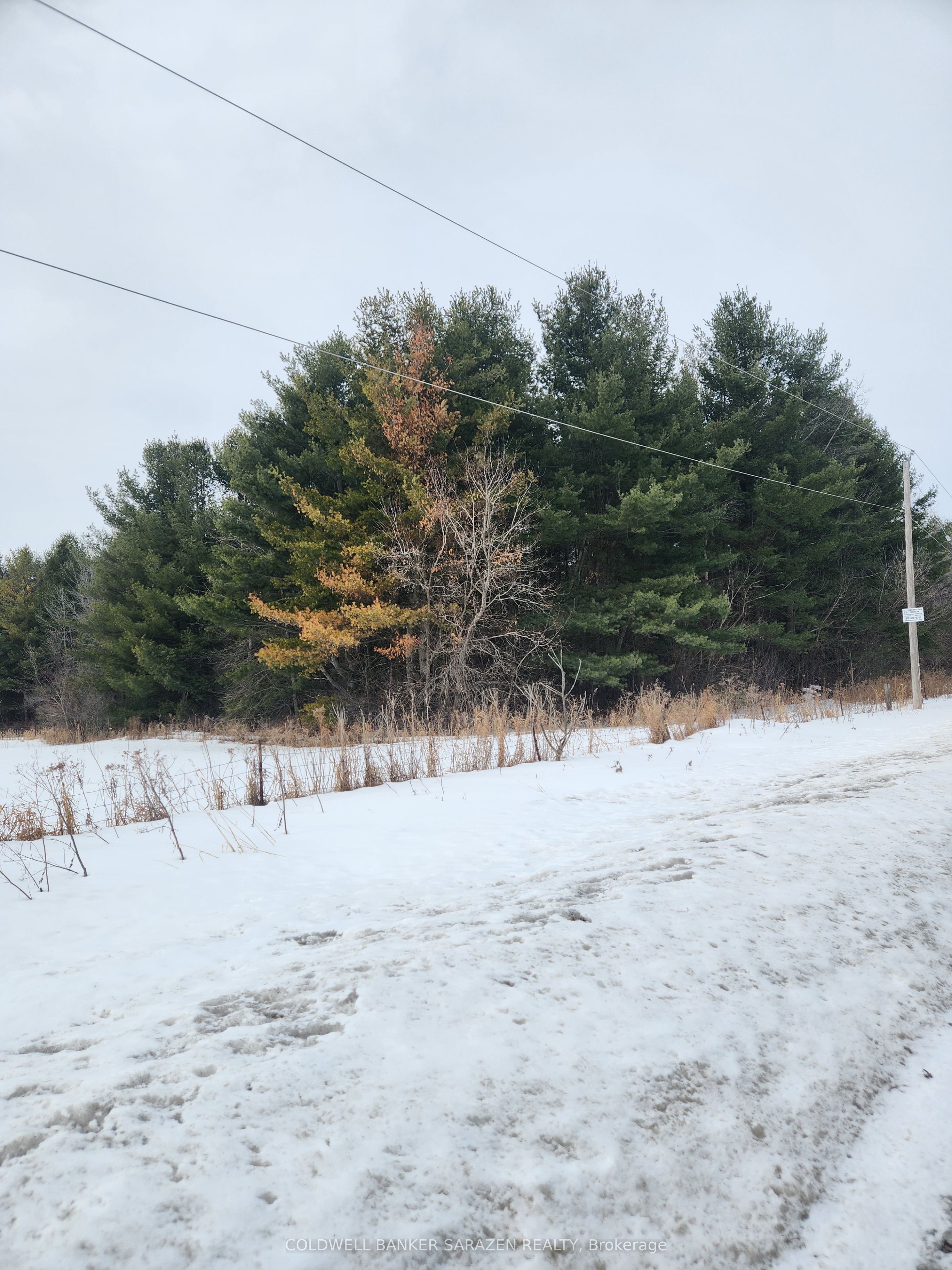 7238 Rideau Valley Drive S Property Photo 4