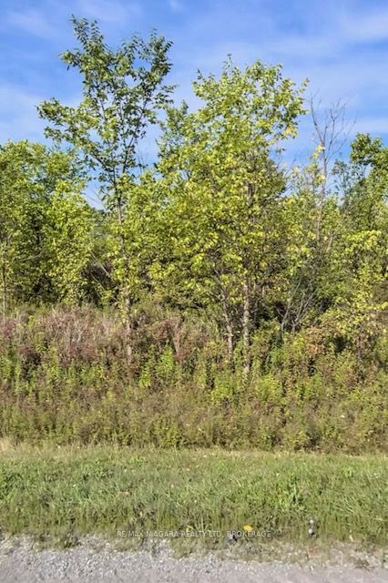 Lot 3 Montrose Road