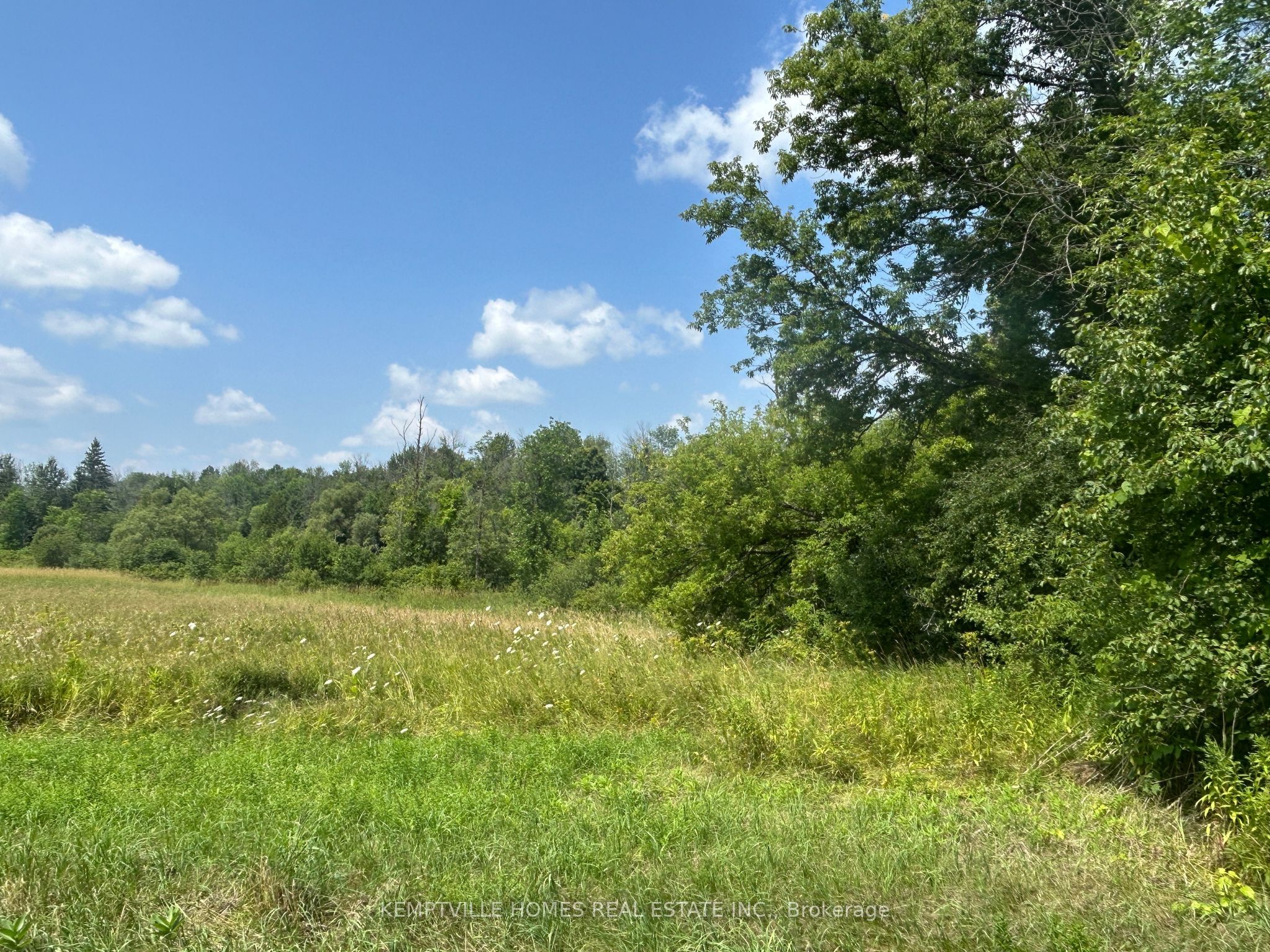 472 River Road Property Photo 5