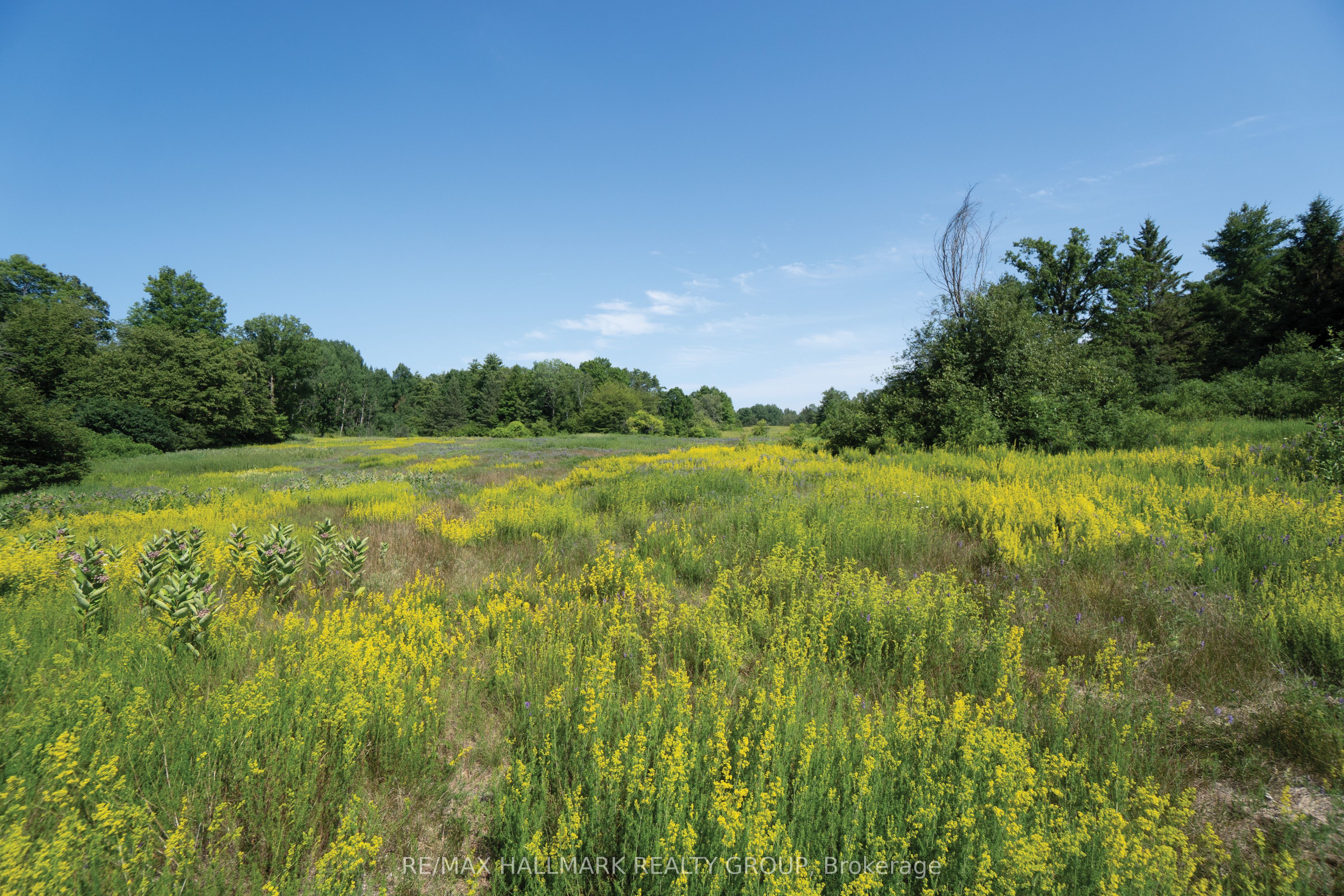 00 Galetta Side Road Property Photo 15