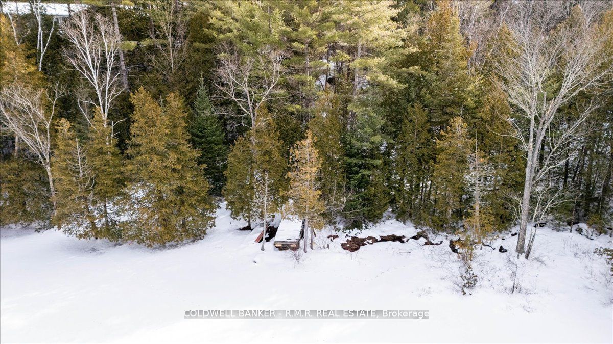 8860 County Rd 41 Property Photo 12