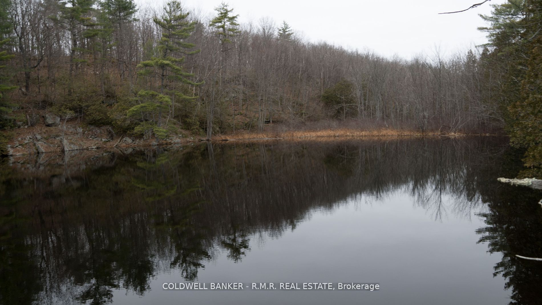 8860 County Rd 41 Property Photo 8