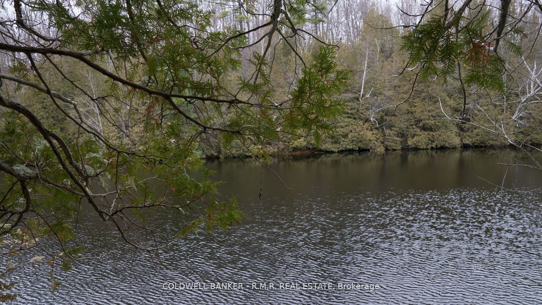 8860 County Rd 41 Property Photo 11