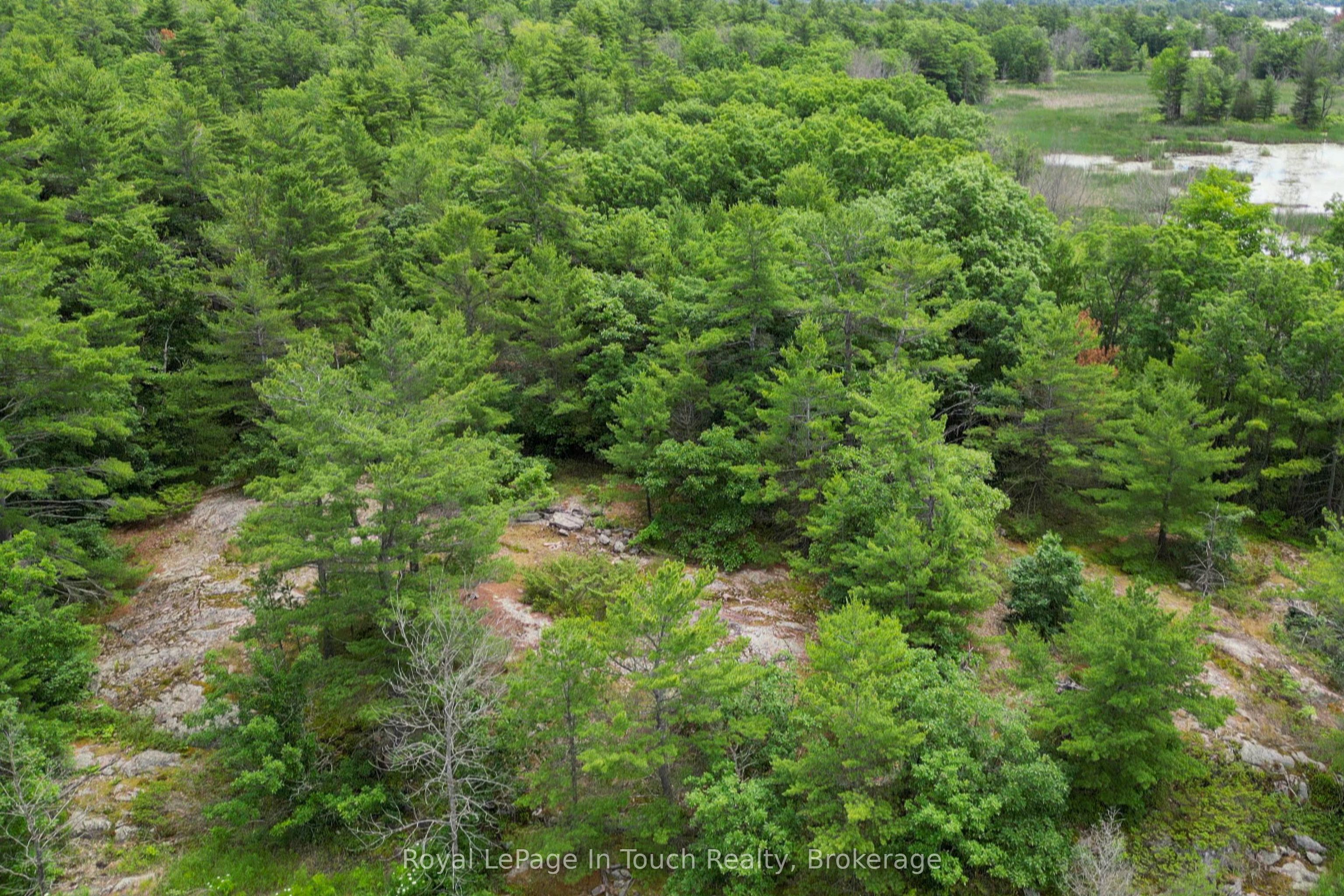 180 Prisque Road Property Photo 2