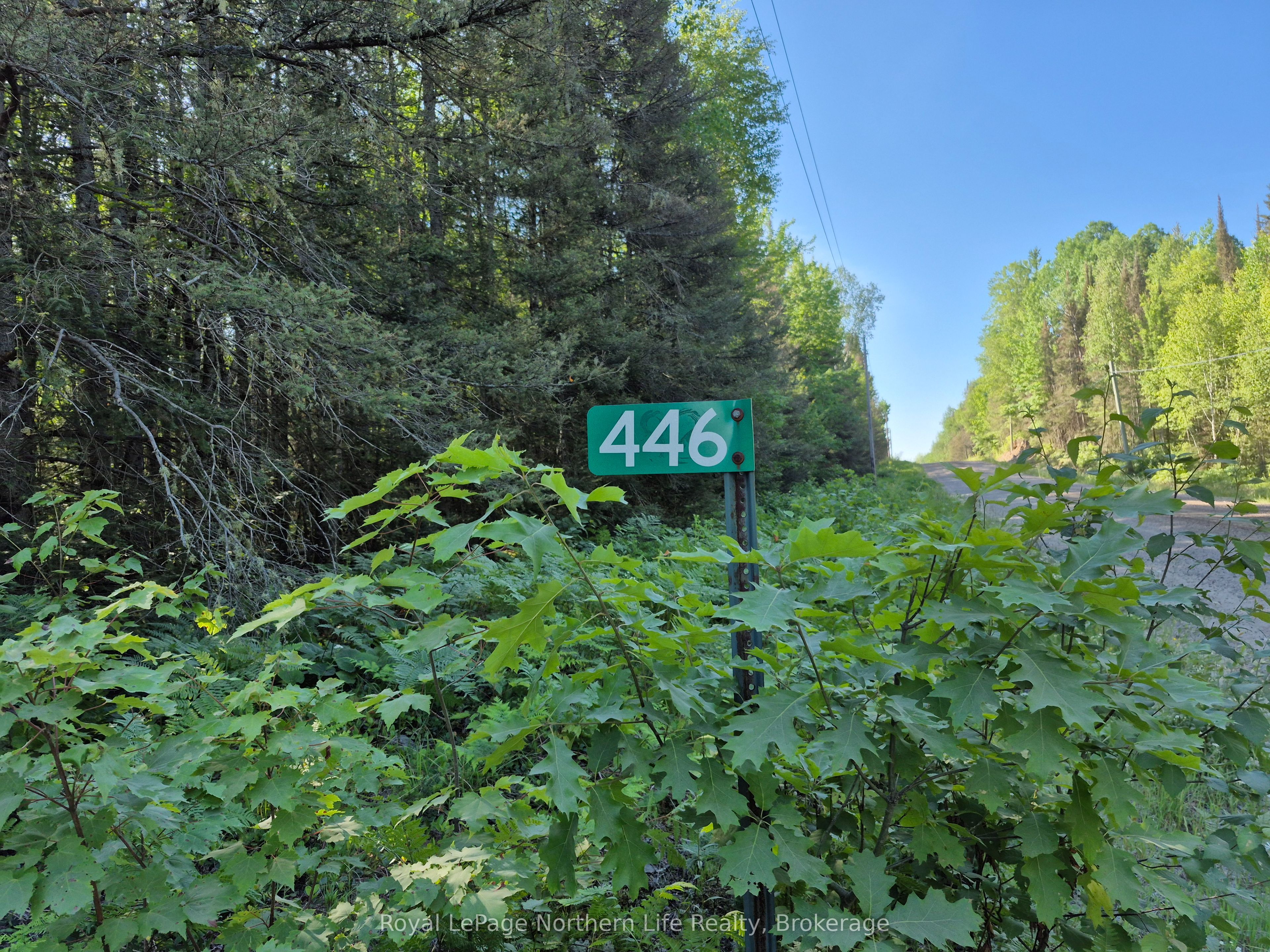 446 Burritts Road Property Photo 1