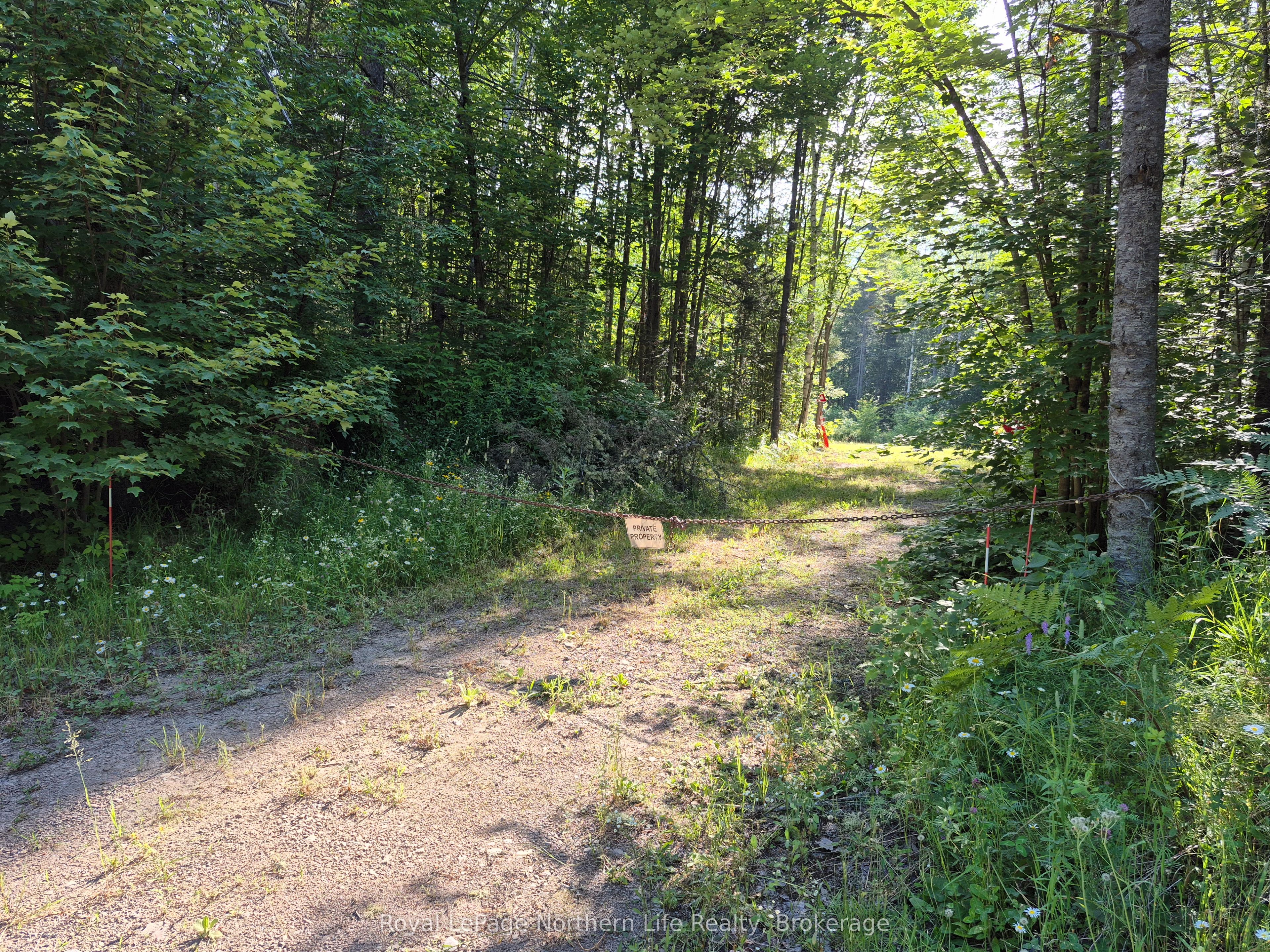 446 Burritts Road Property Photo 10