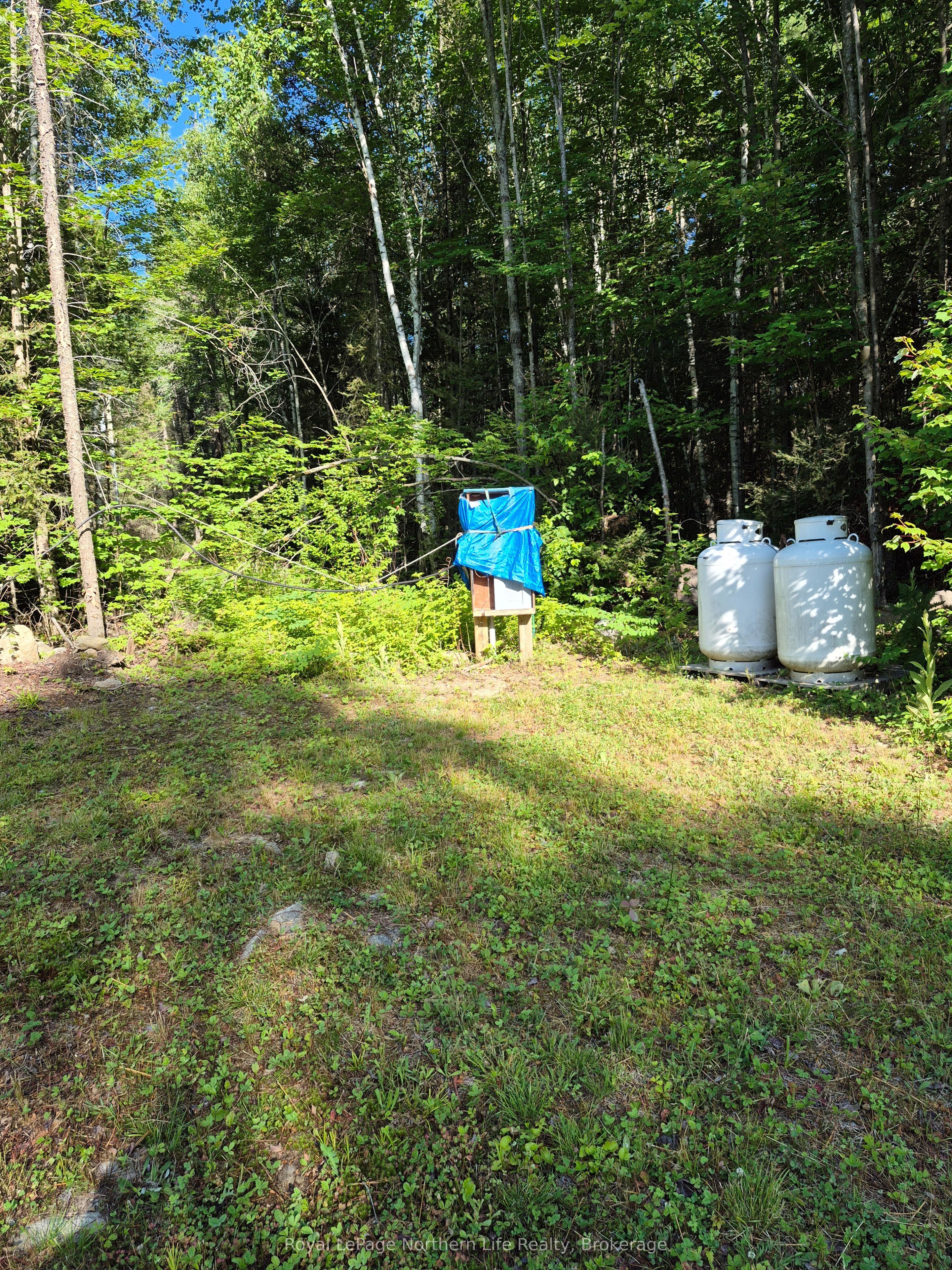 446 Burritts Road Property Photo 13