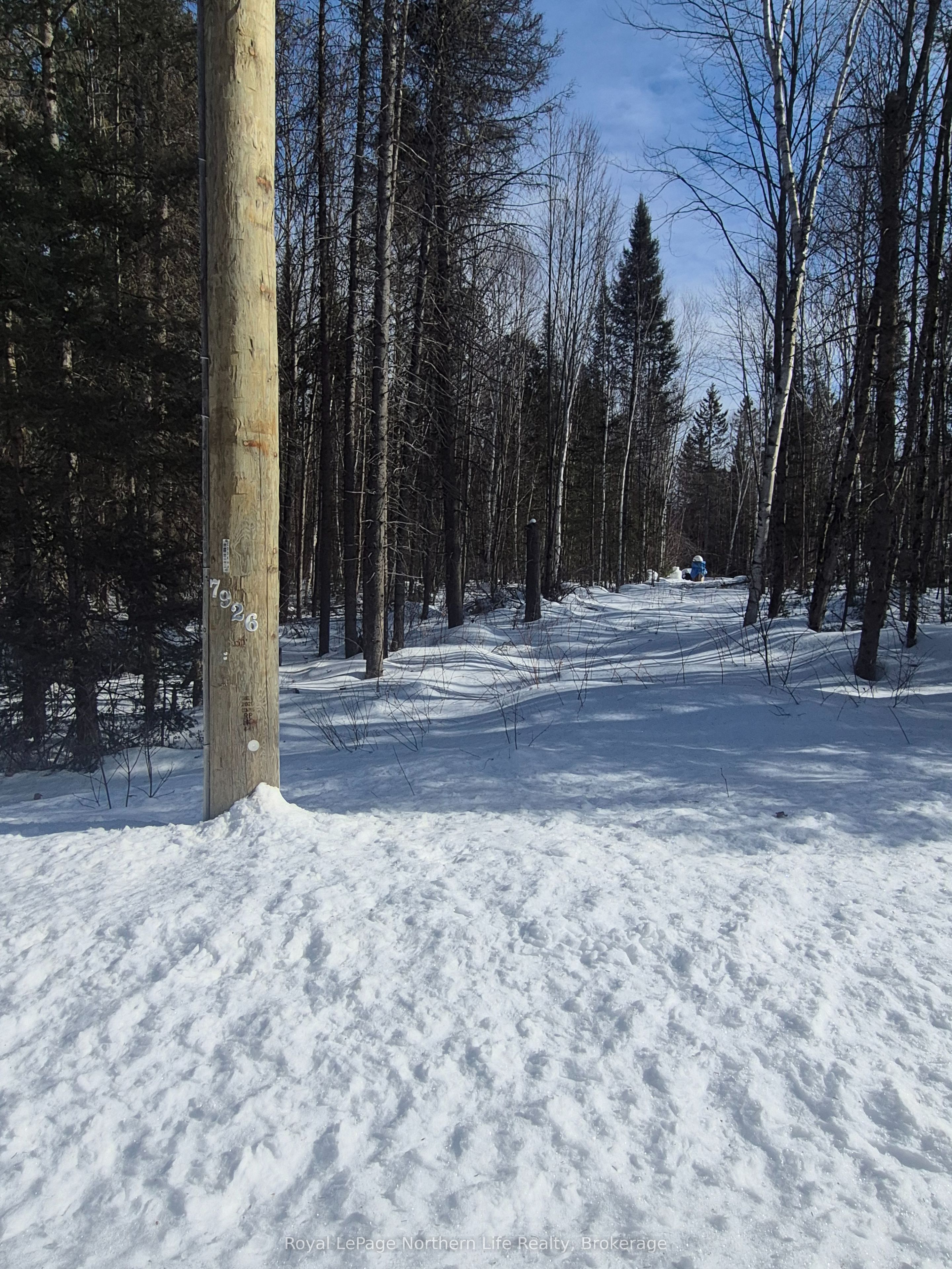 446 Burritts Road Property Photo 16