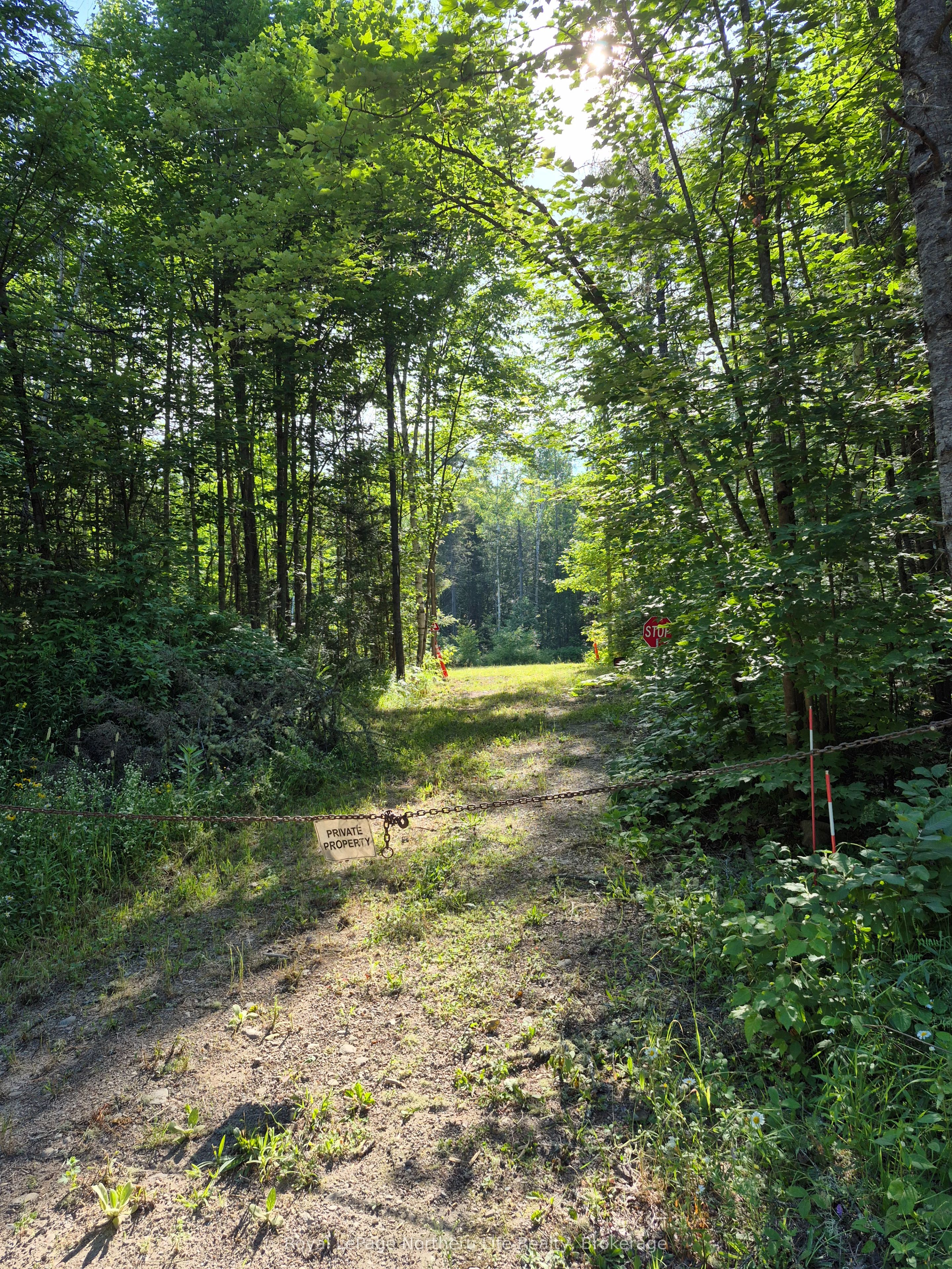 446 Burritts Road Property Photo 17