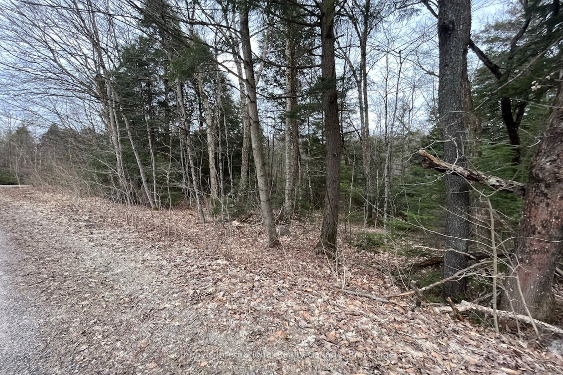1031 Haven Road Property Photo 5