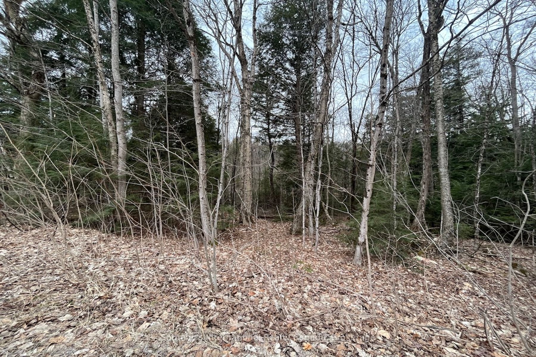 1031 Haven Road Property Photo 7