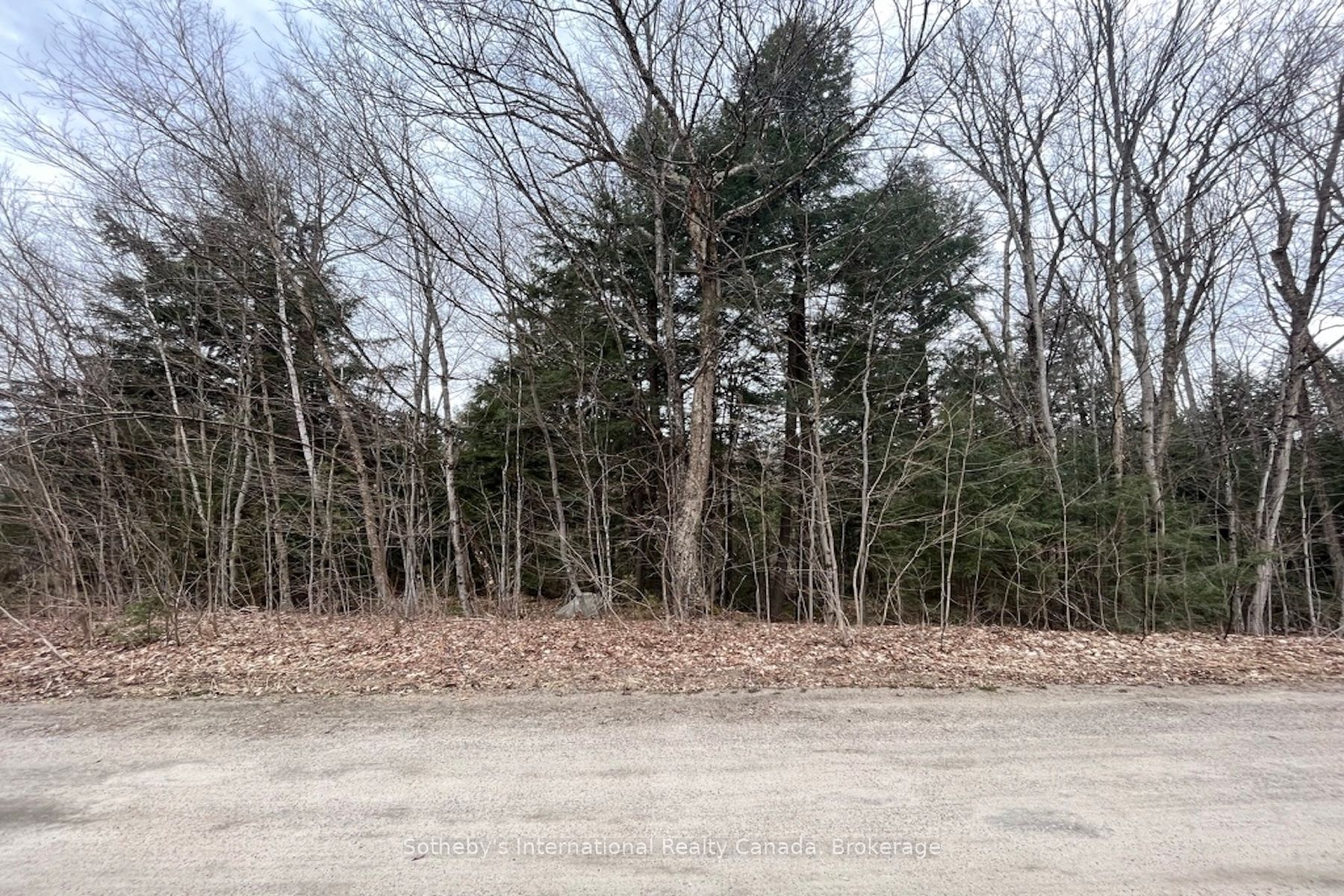 1031 Haven Road Property Photo 11