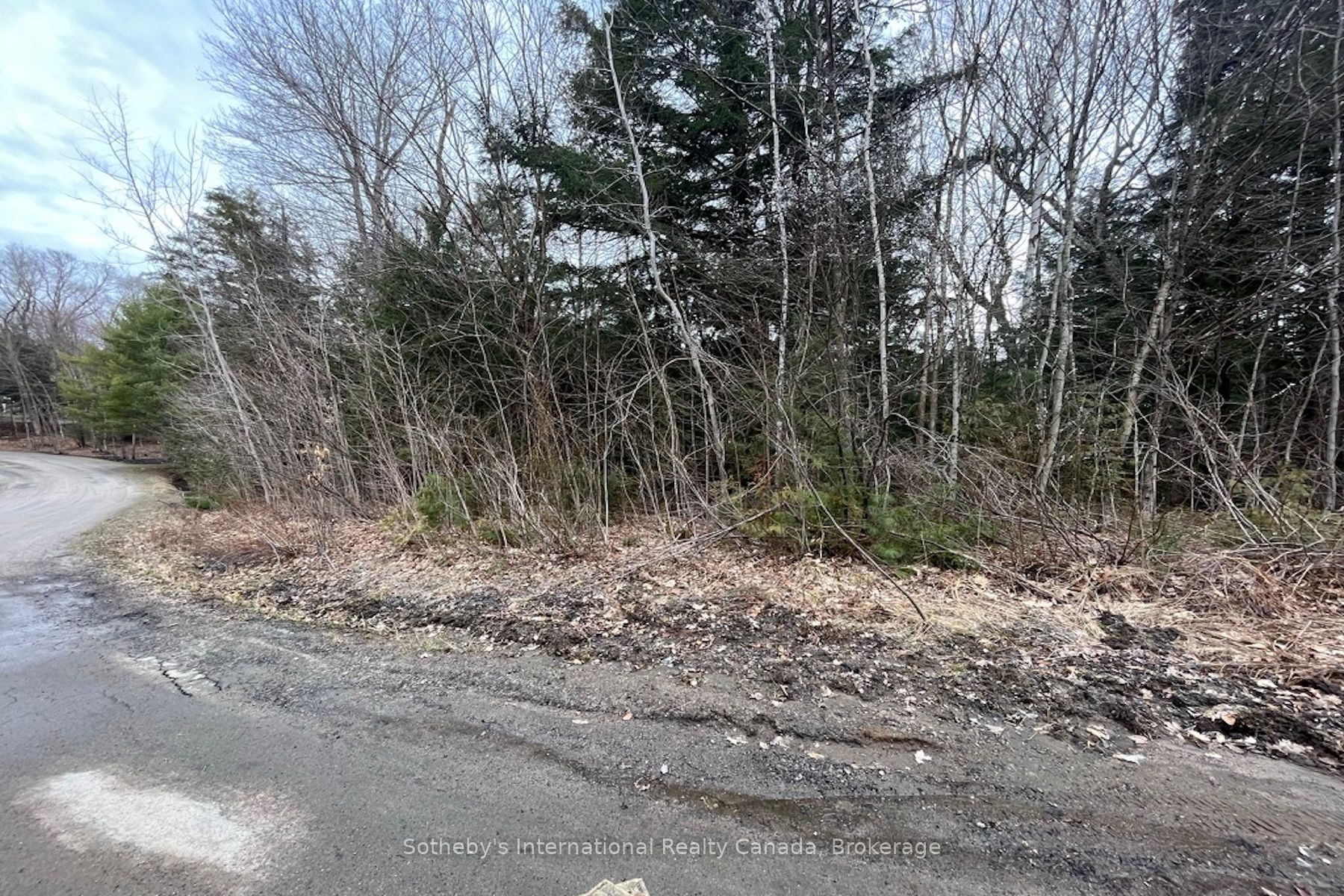 1031 Haven Road Property Photo 12