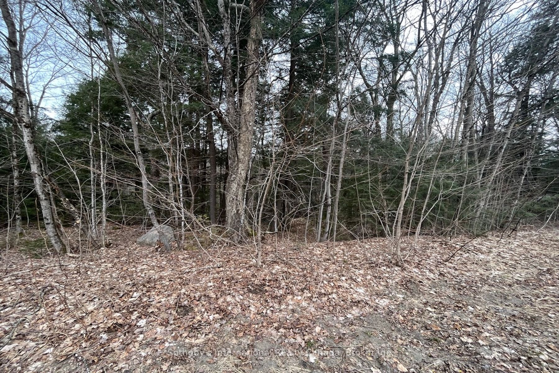 1031 Haven Road Property Photo 14