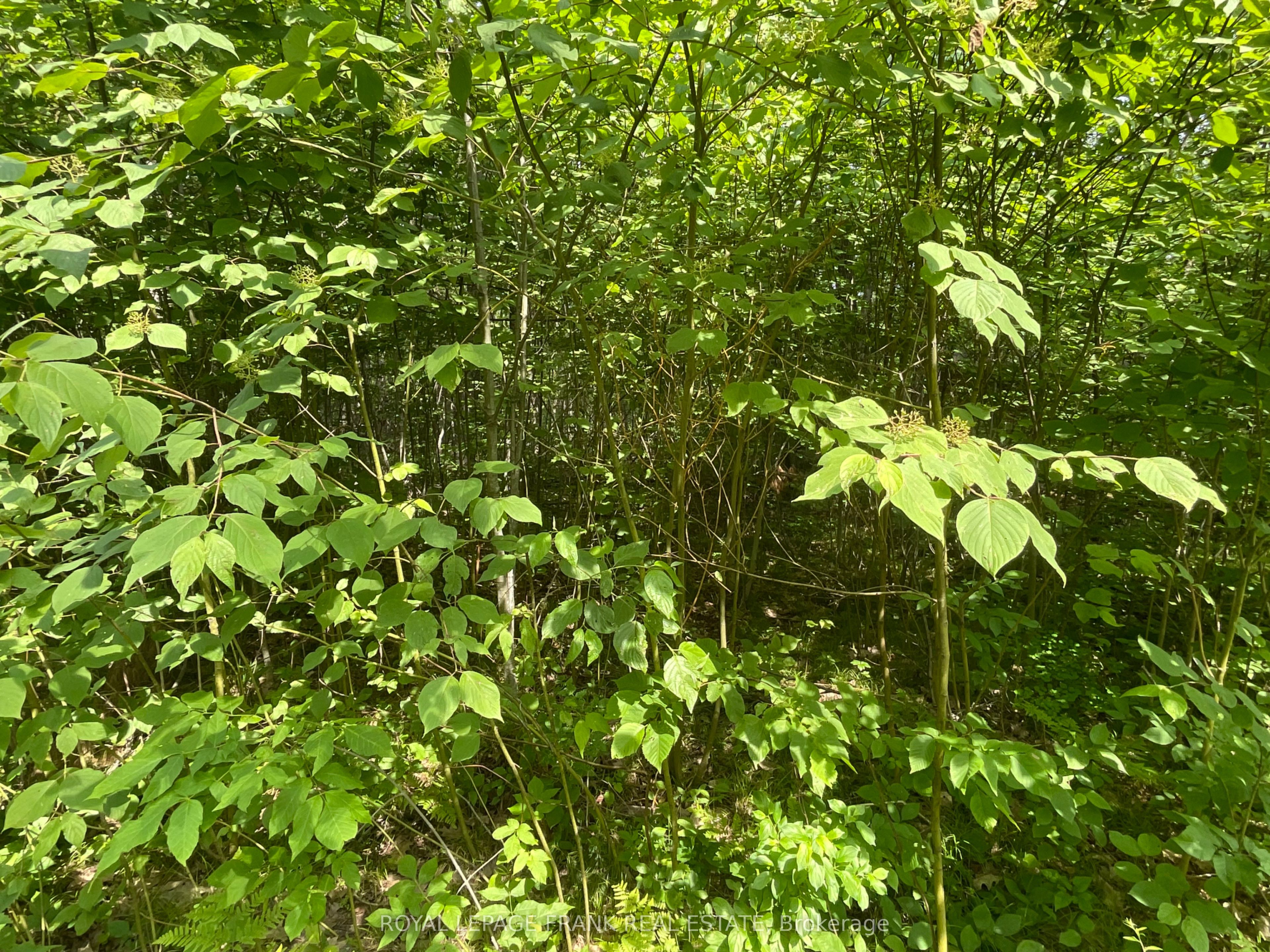 0 Sugarbush Crescent Property Photo 1