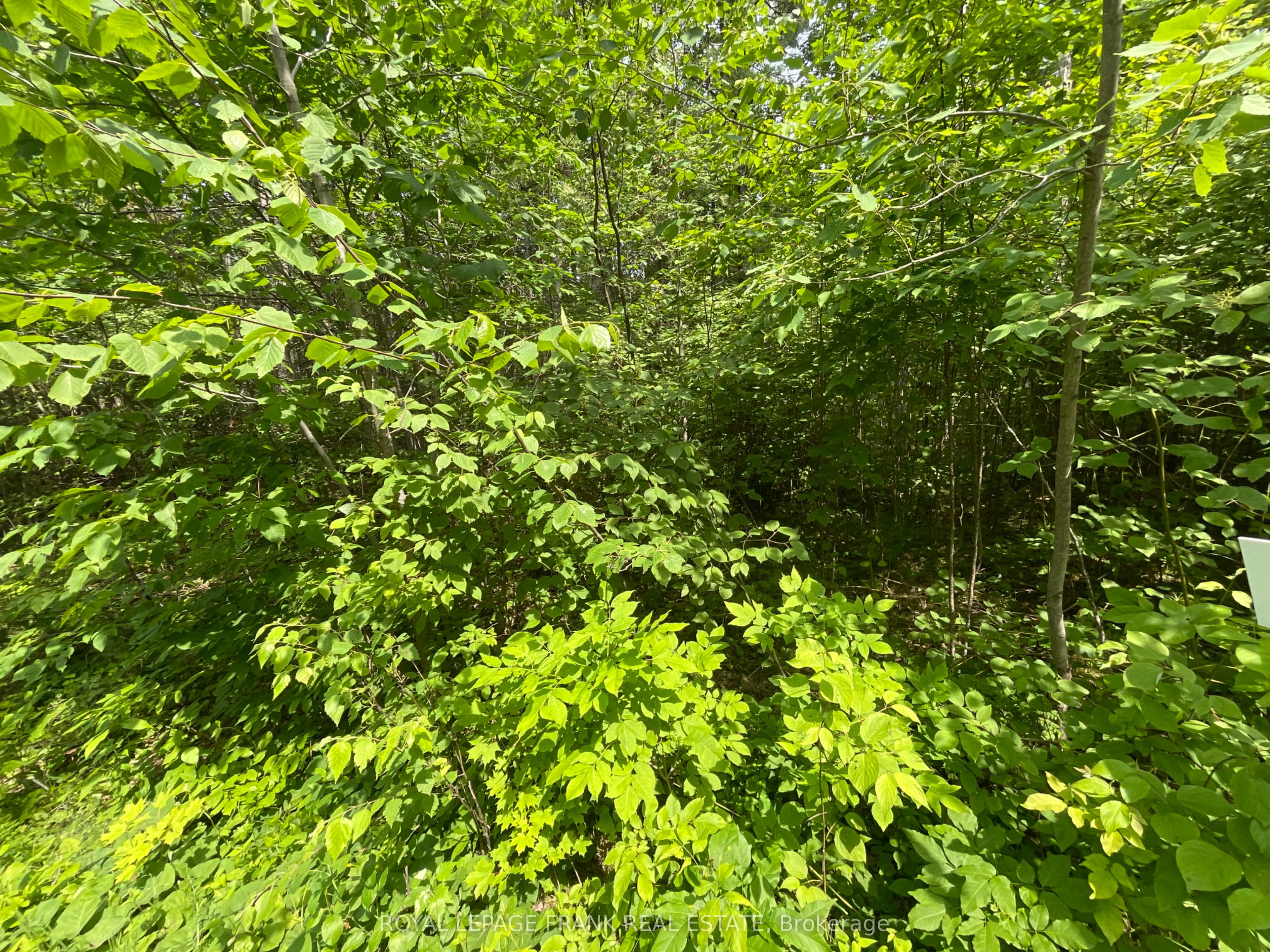 0 Sugarbush Crescent Property Photo 2