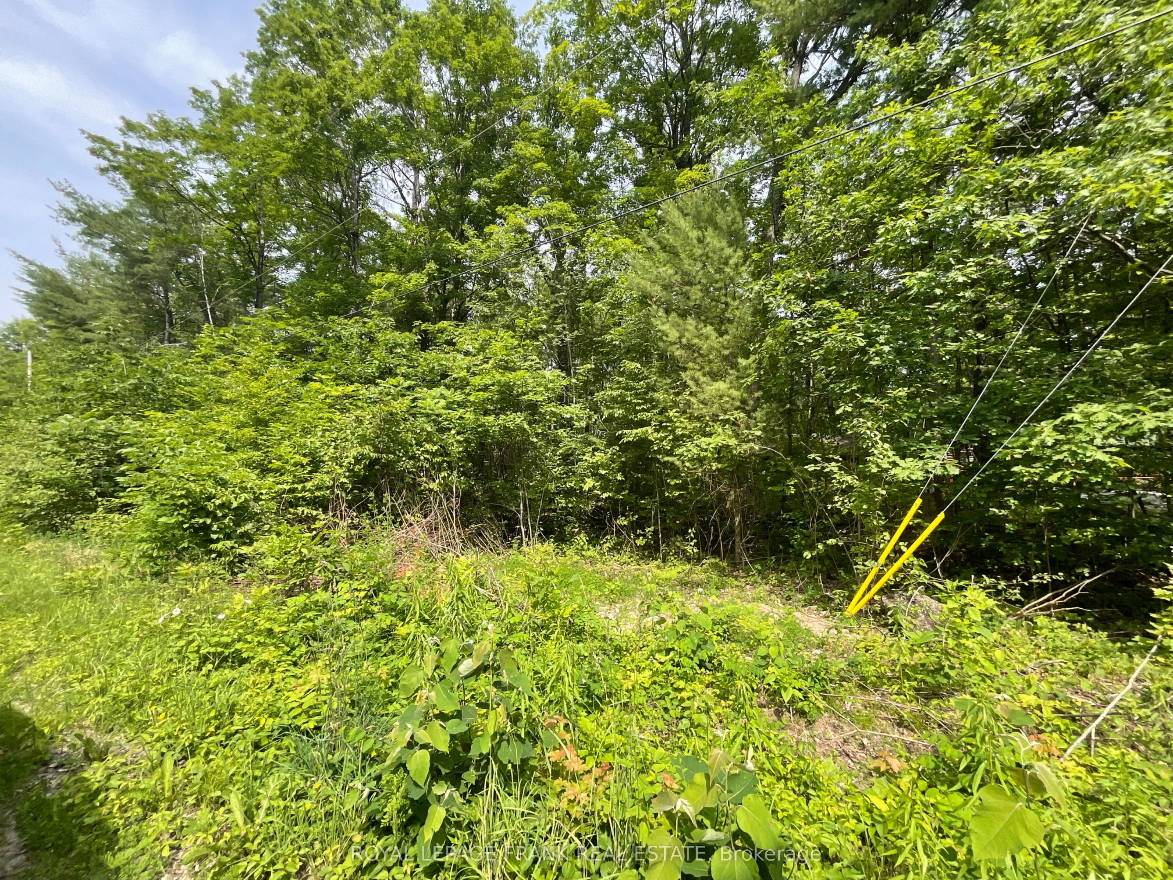0 Sugarbush Crescent Property Photo 4