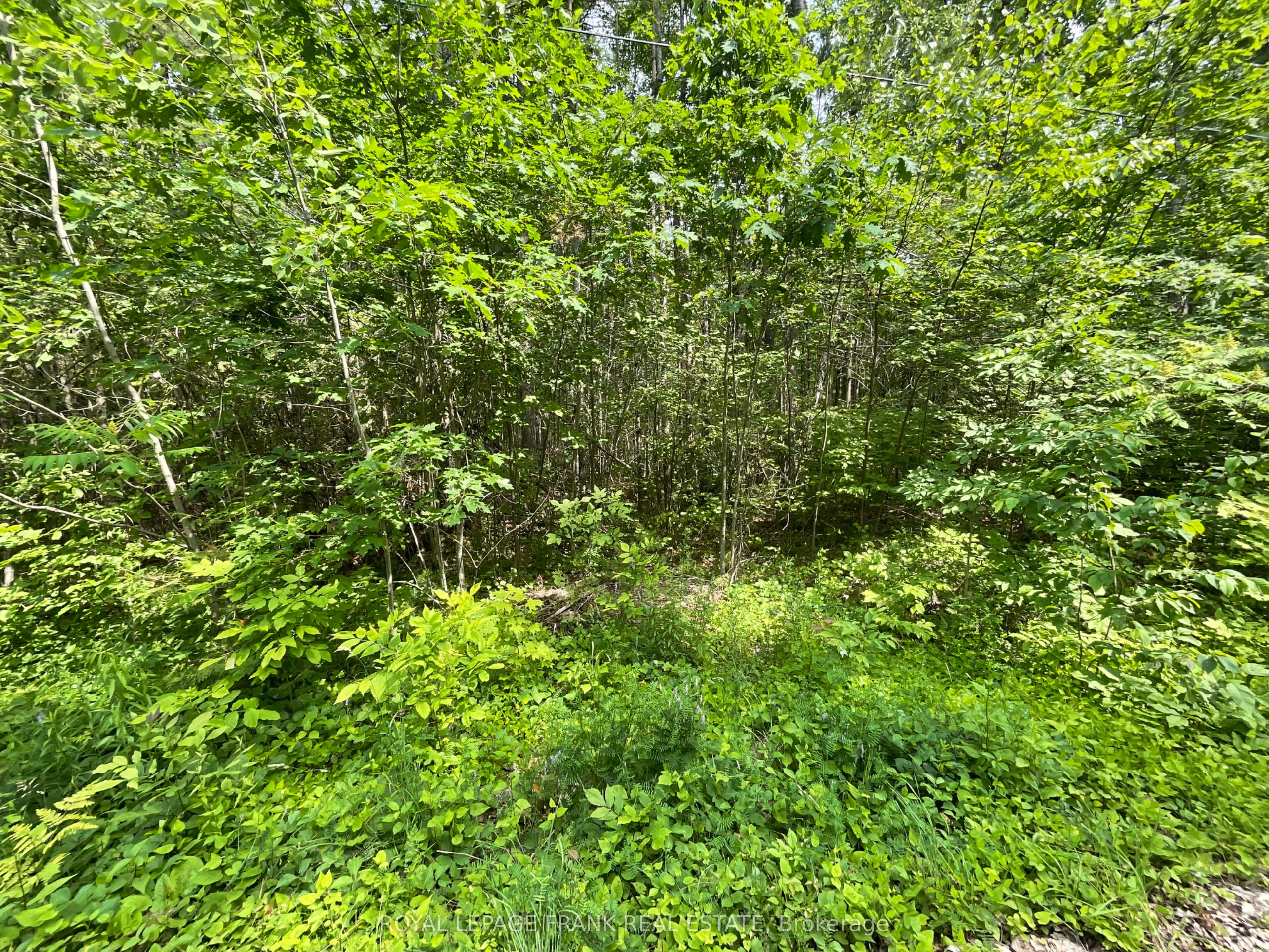 0 Sugarbush Crescent Property Photo 6